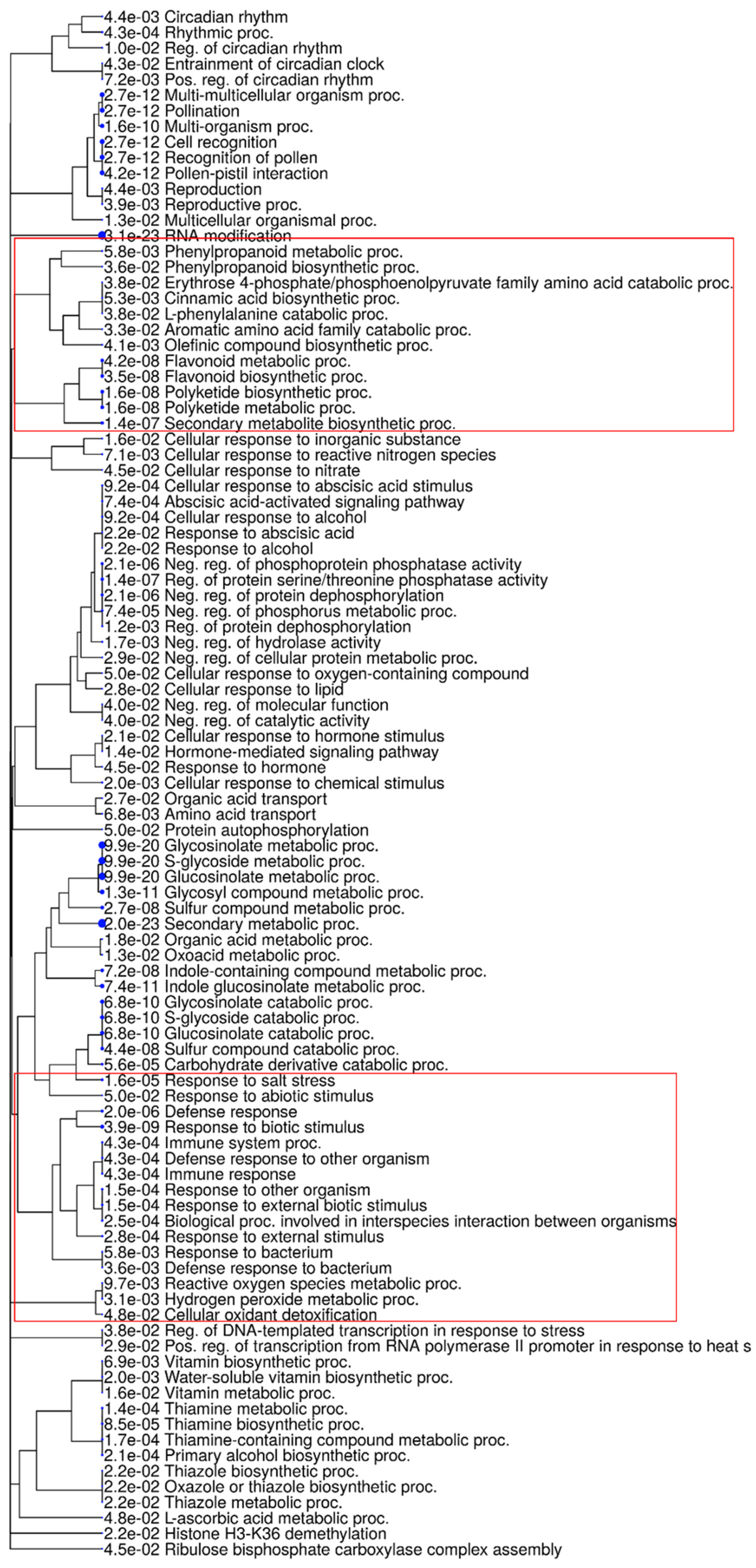 Ijms 24 10563 g002 Ijms 24 10563 g002