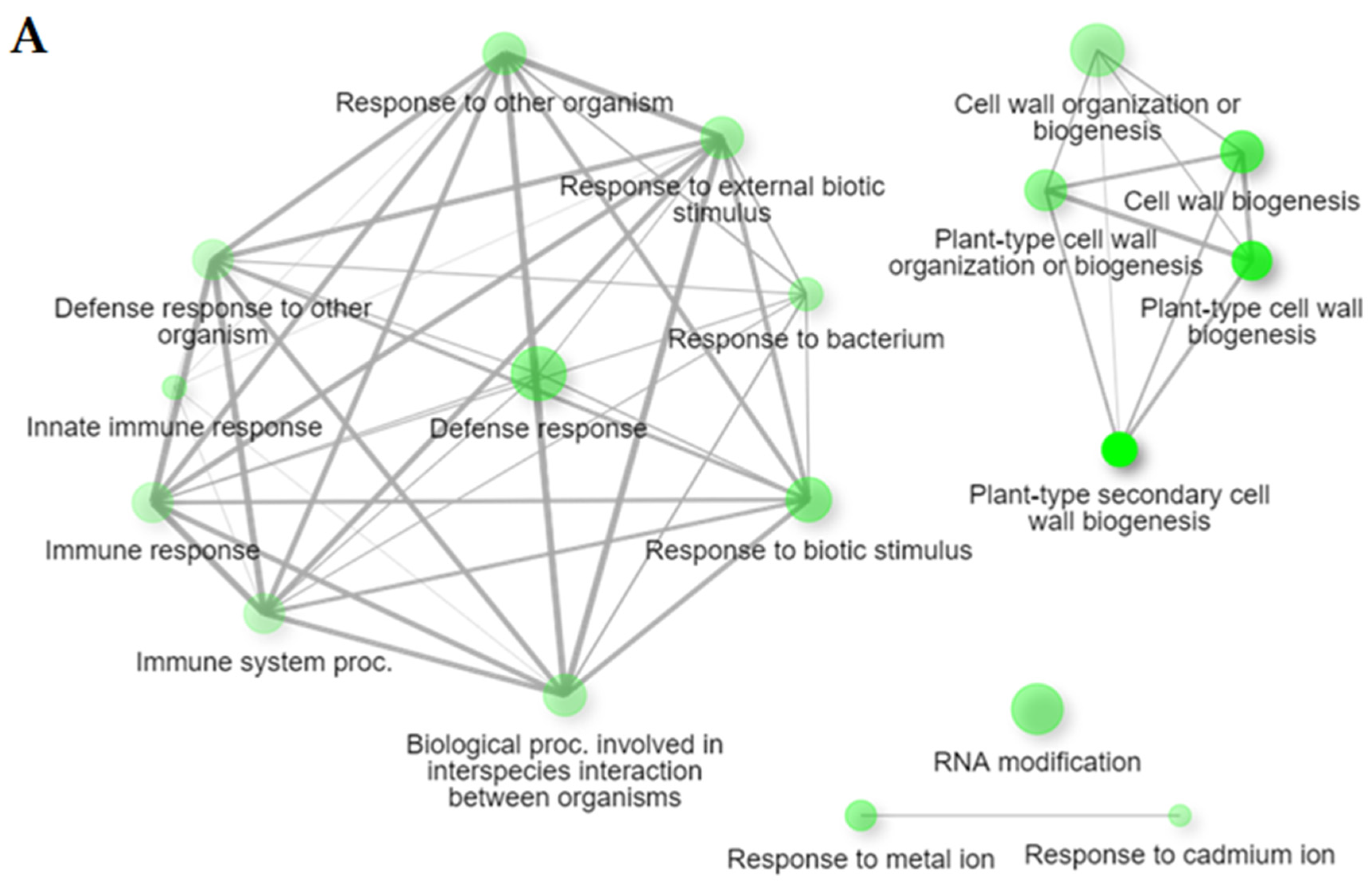 Ijms 24 10563 g003a Ijms 24 10563 g003a