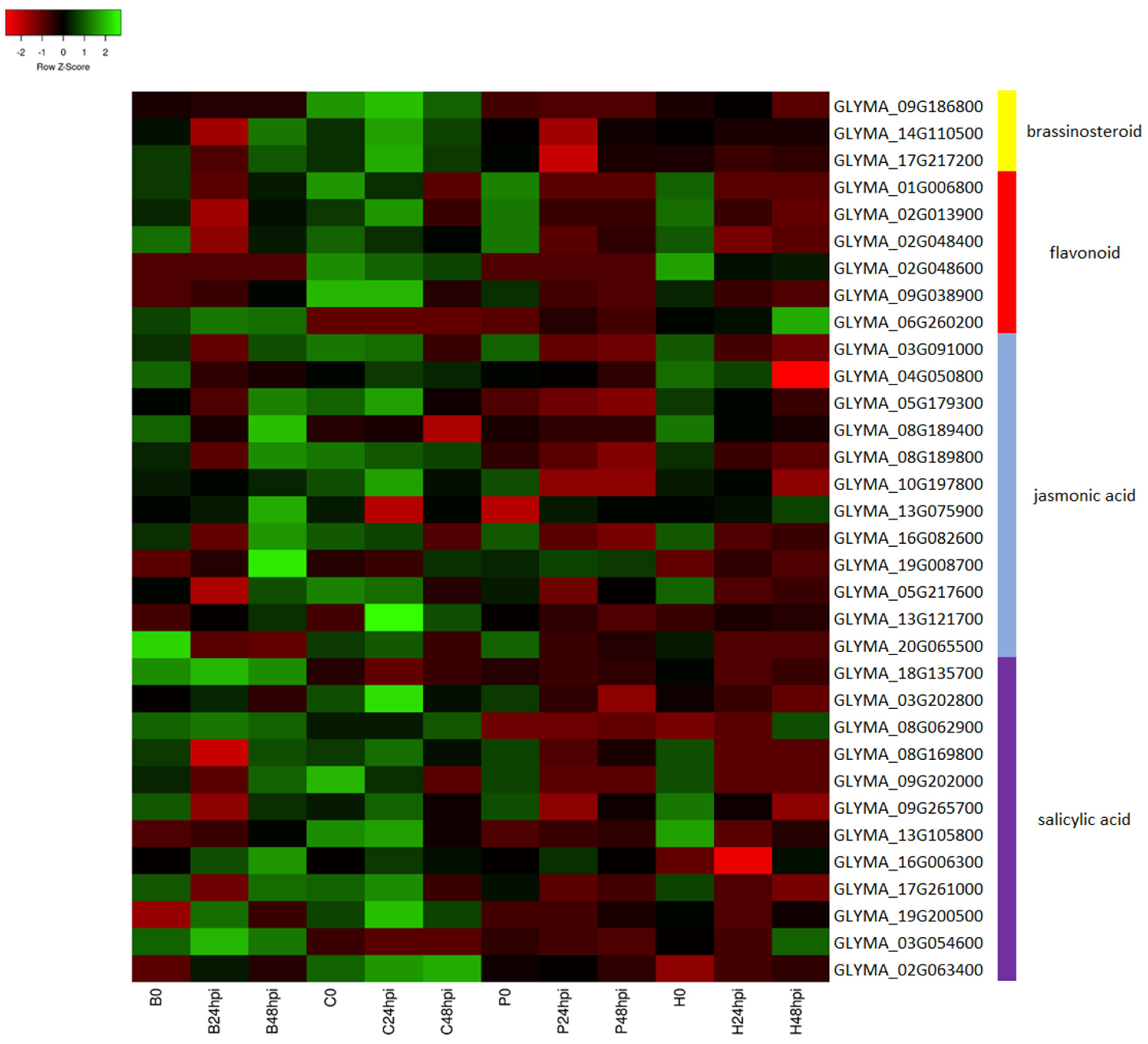 Ijms 24 10563 g008 Ijms 24 10563 g008