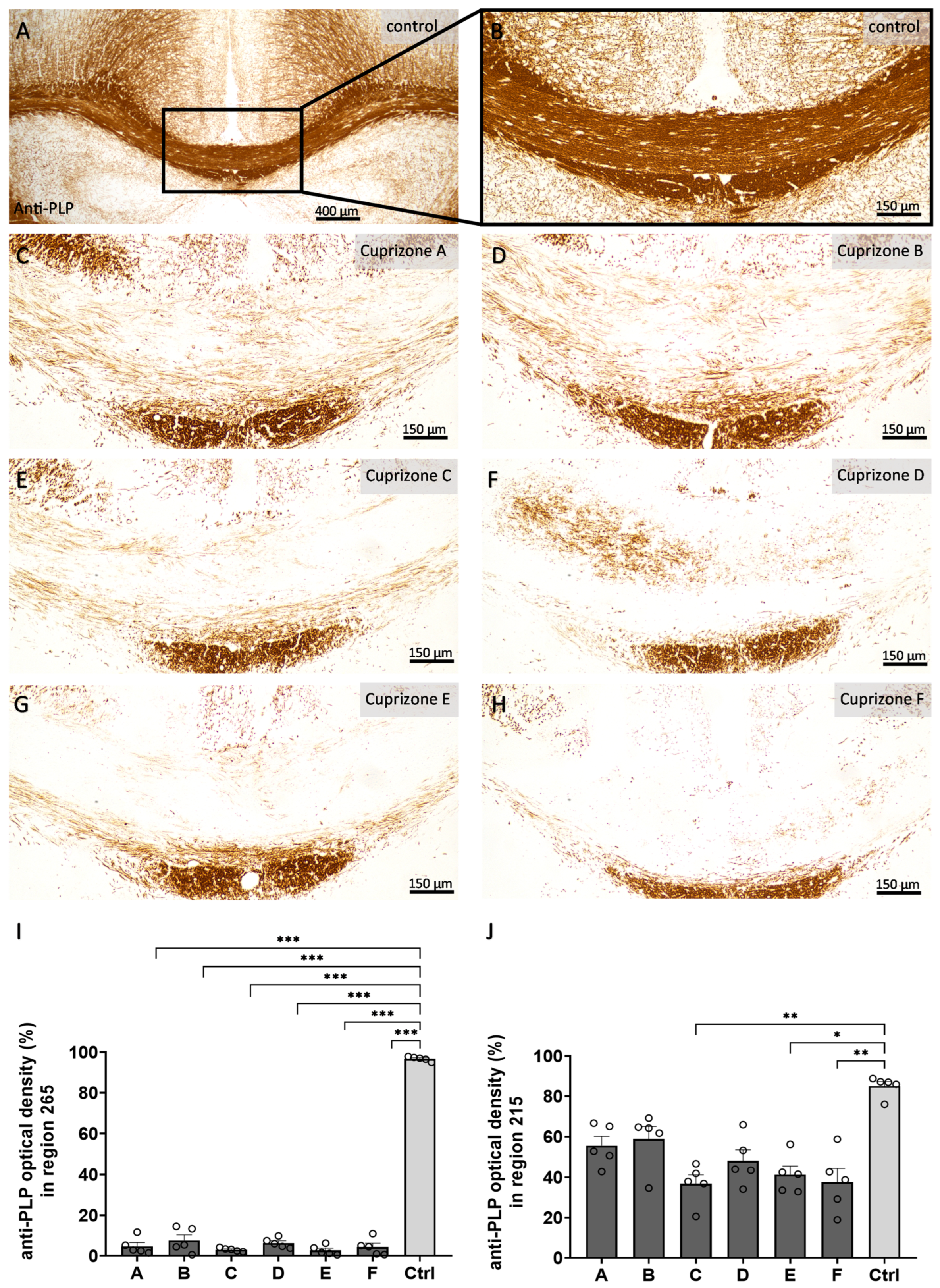 Ijms 24 10564 g002 Ijms 24 10564 g002