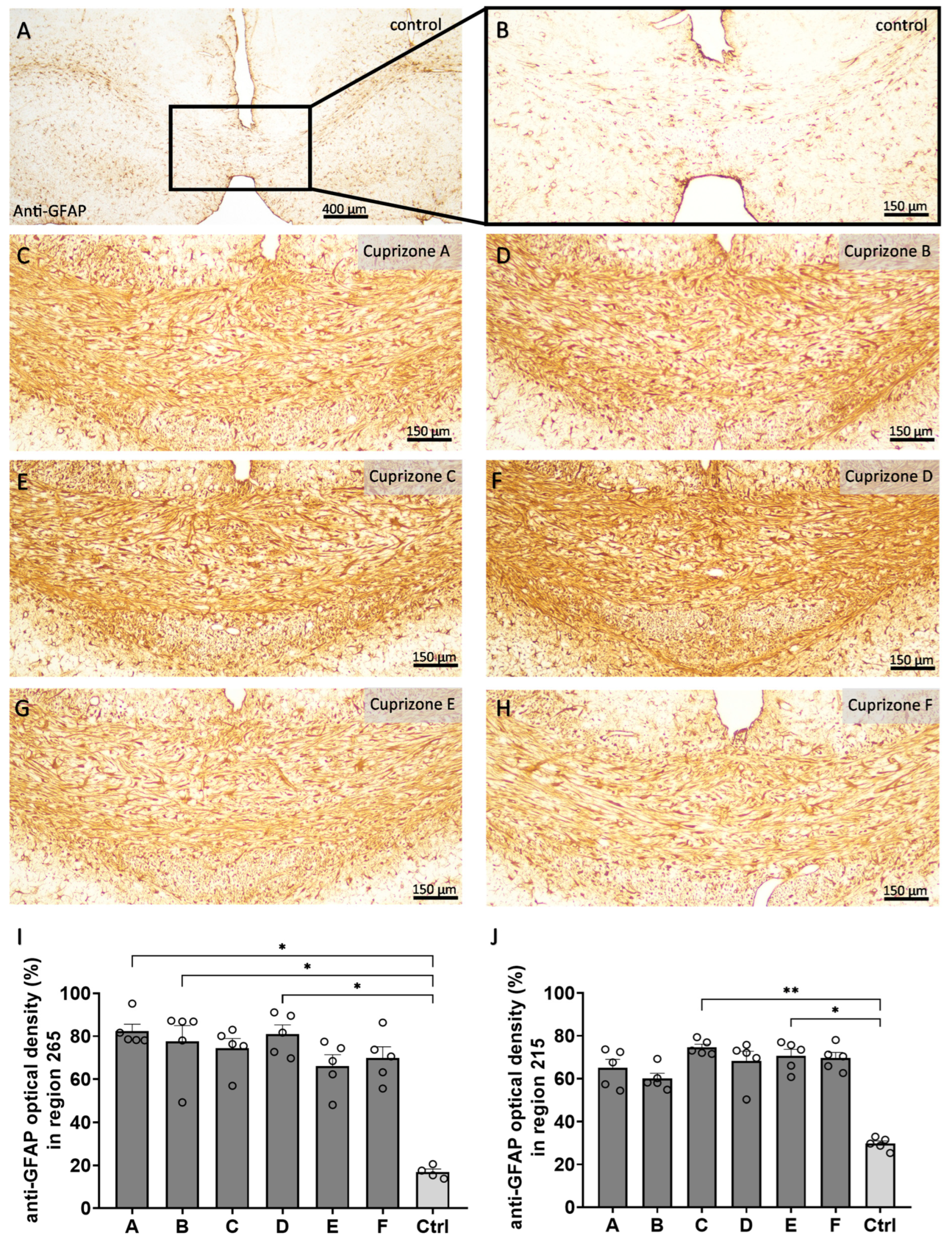Ijms 24 10564 g005 Ijms 24 10564 g005