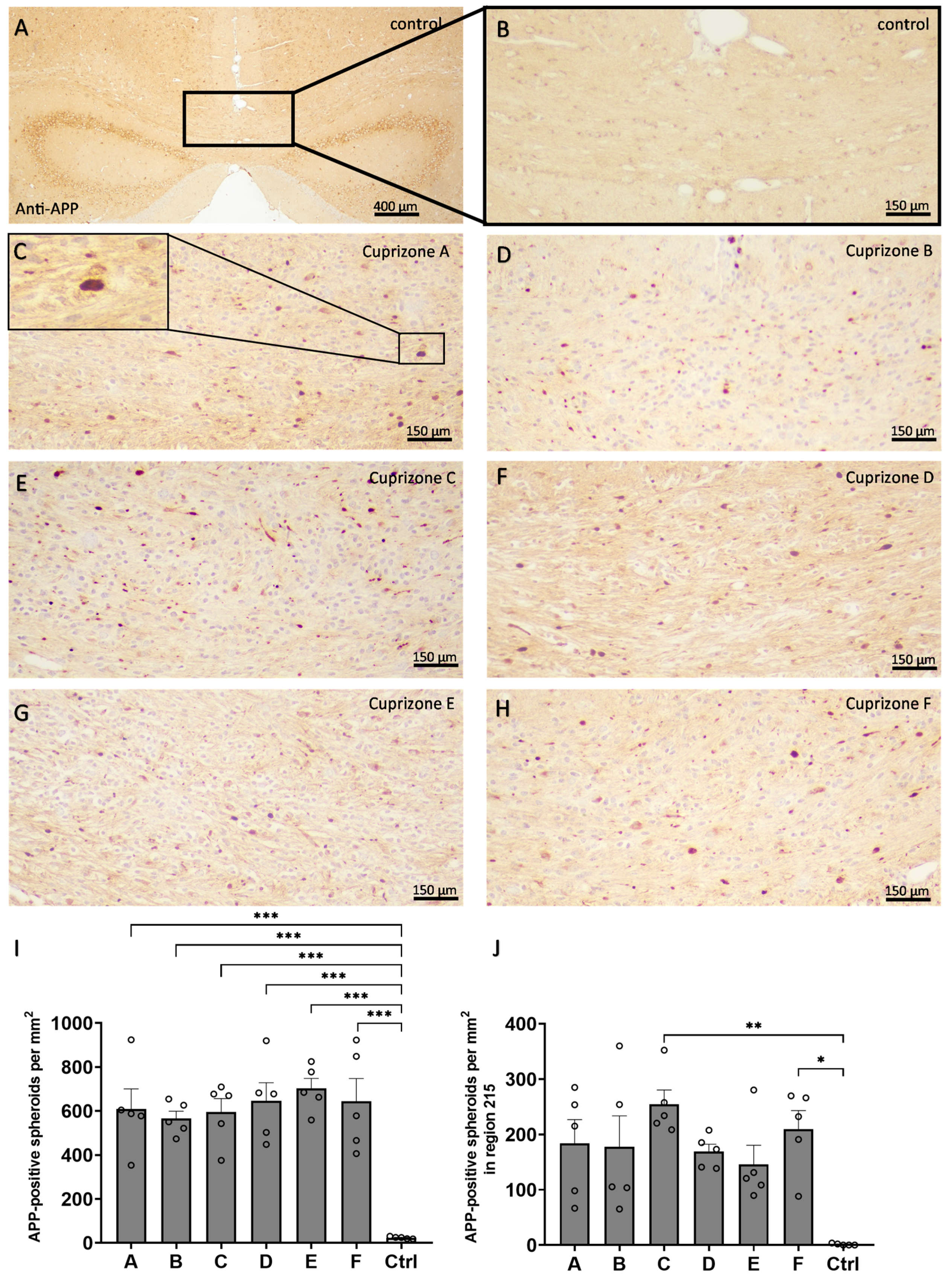 Ijms 24 10564 g006 Ijms 24 10564 g006