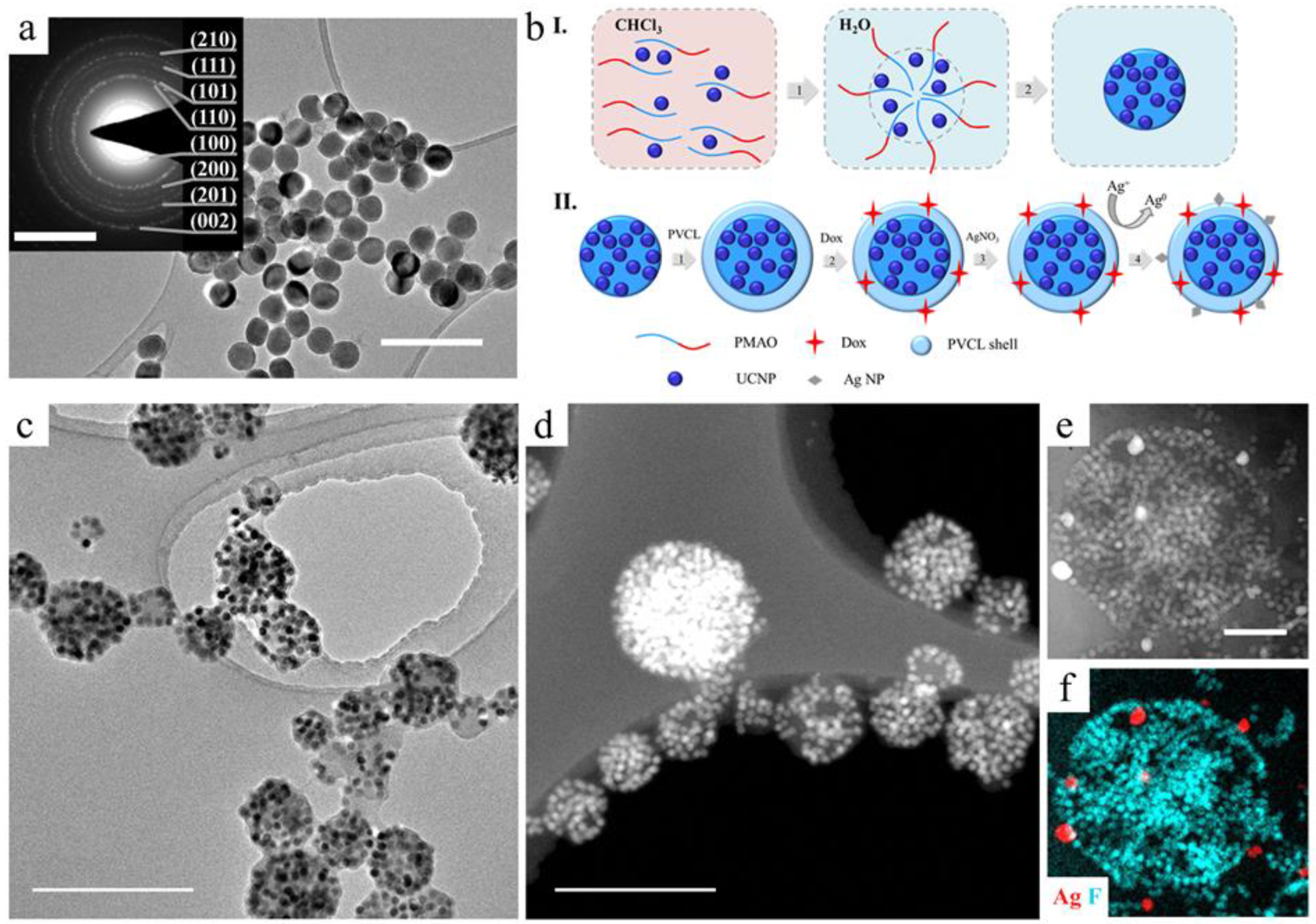 Ijms 24 10574 g001 Ijms 24 10574 g001