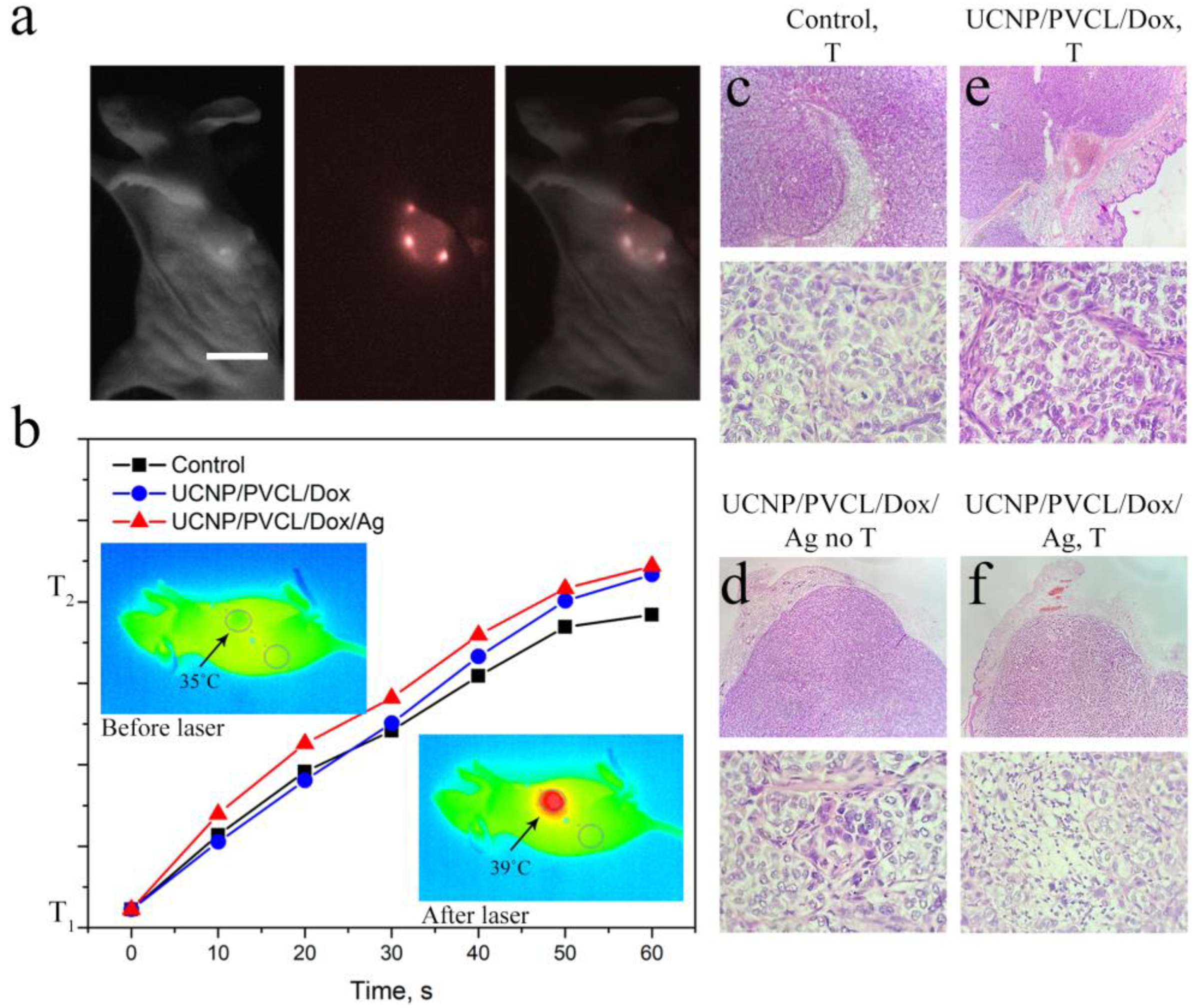 Ijms 24 10574 g004 Ijms 24 10574 g004