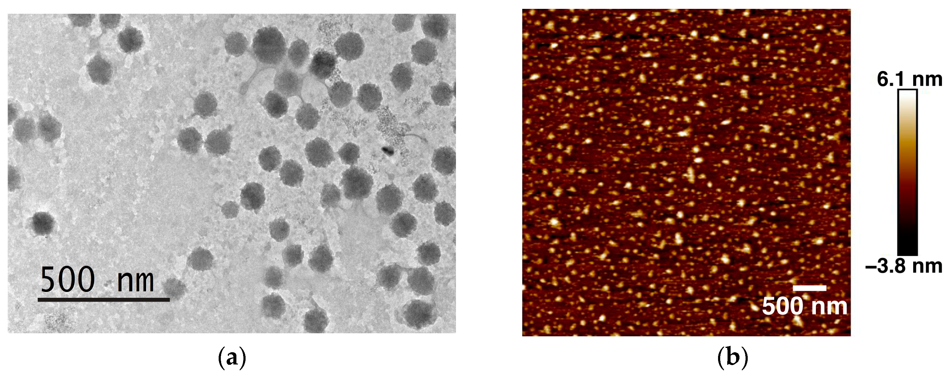 Ijms 24 10588 g005 Ijms 24 10588 g005