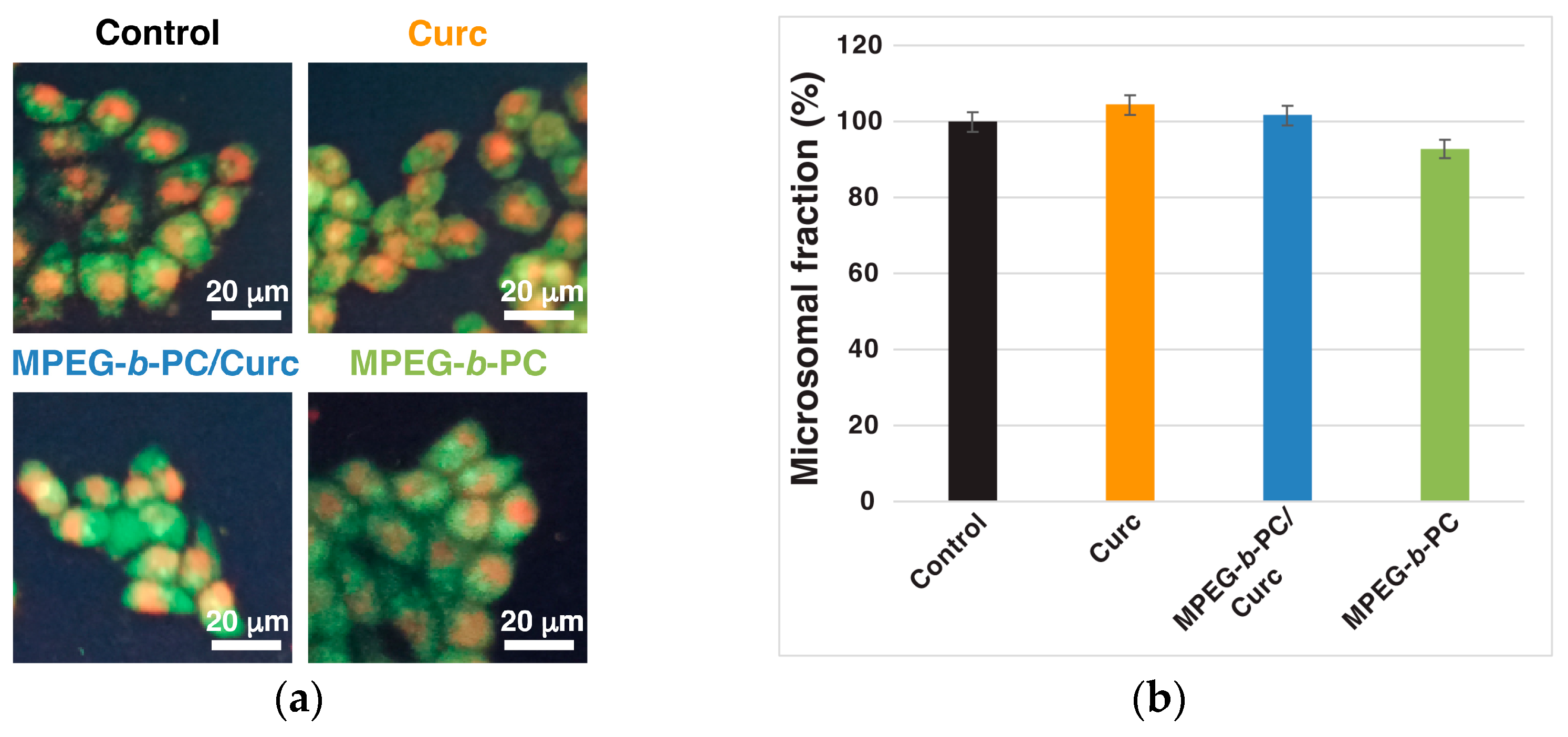 Ijms 24 10588 g010 Ijms 24 10588 g010