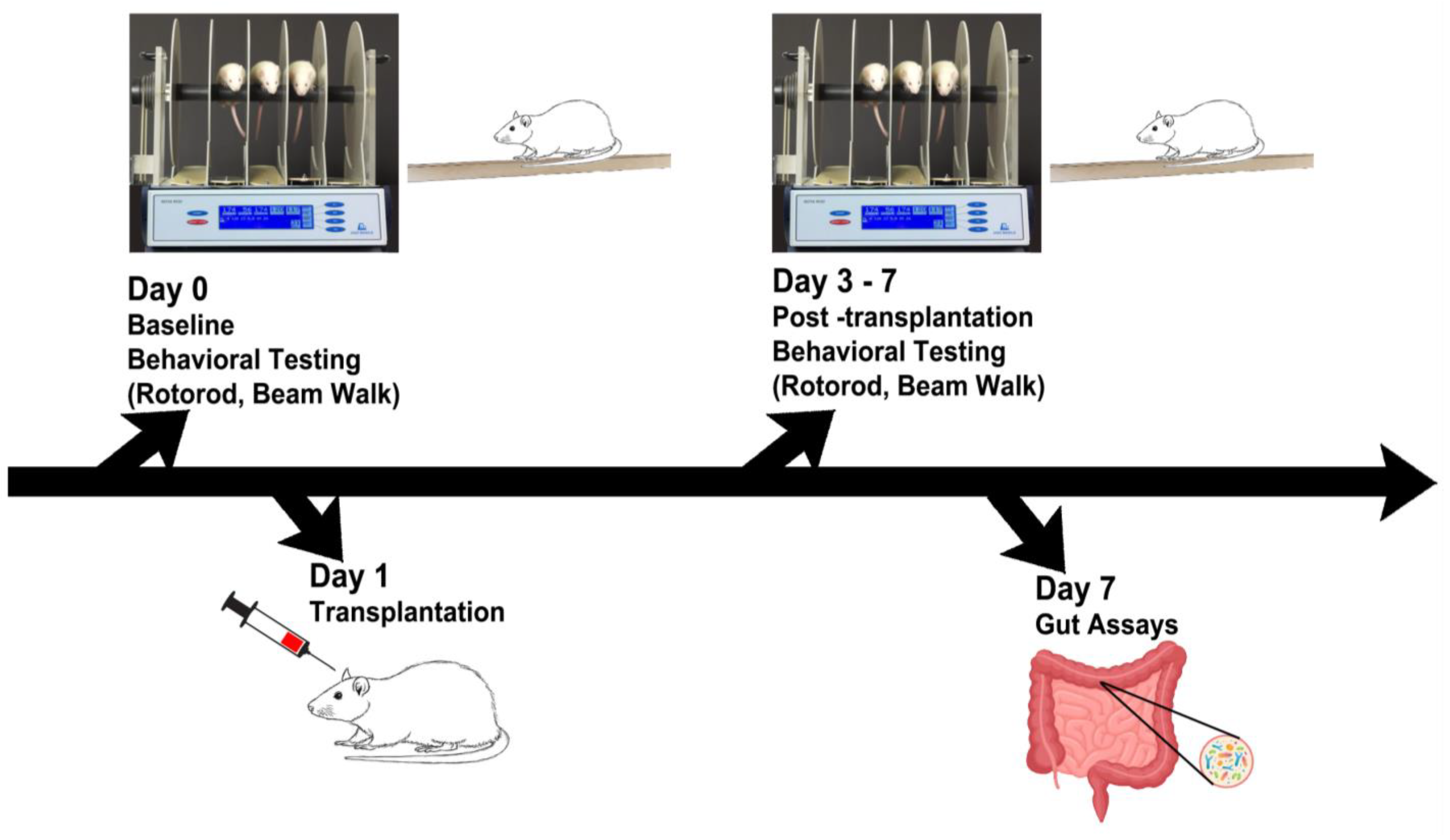 Ijms 24 10600 g001 Ijms 24 10600 g001