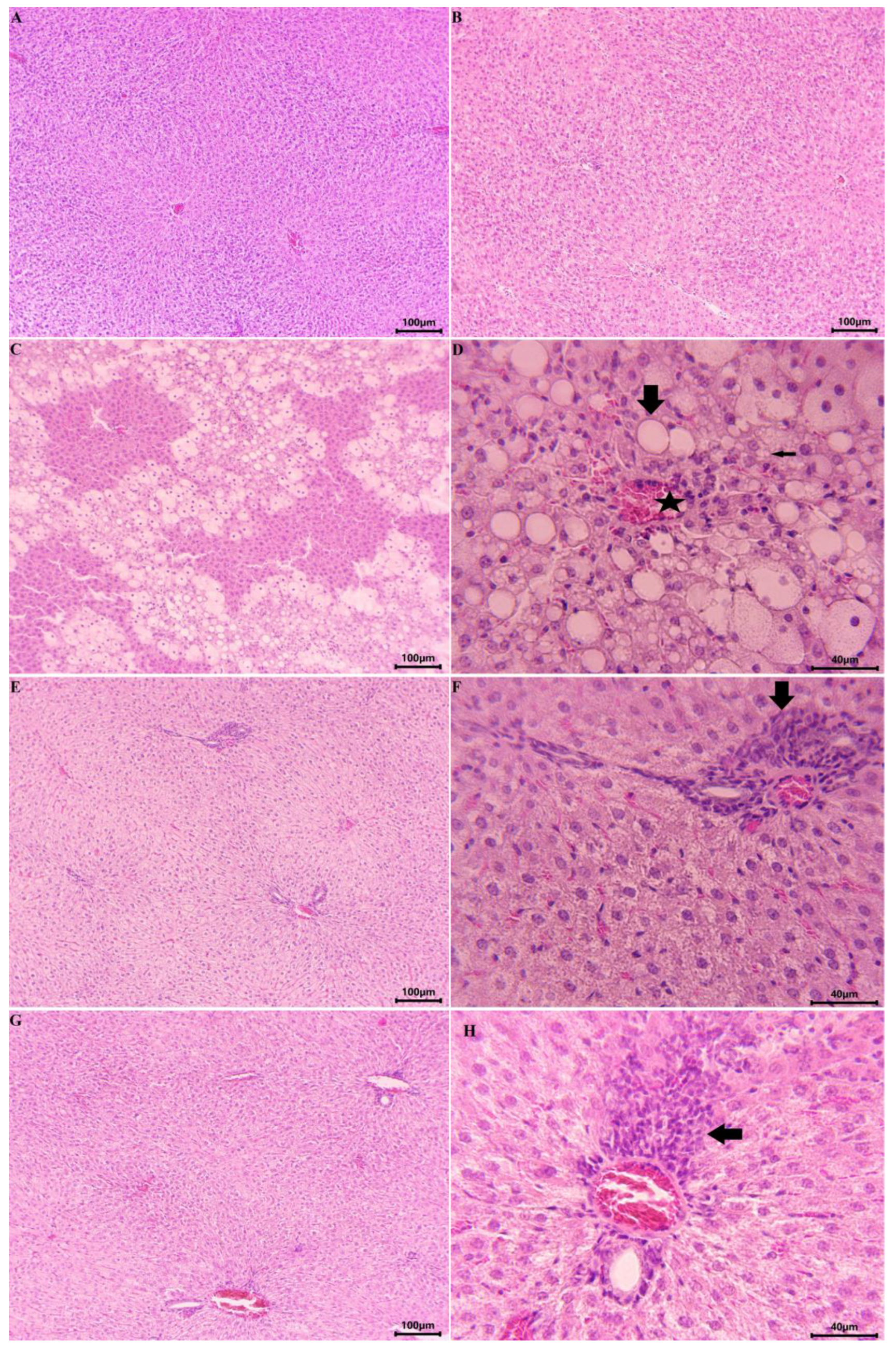 Ijms 24 10631 g008 Ijms 24 10631 g008