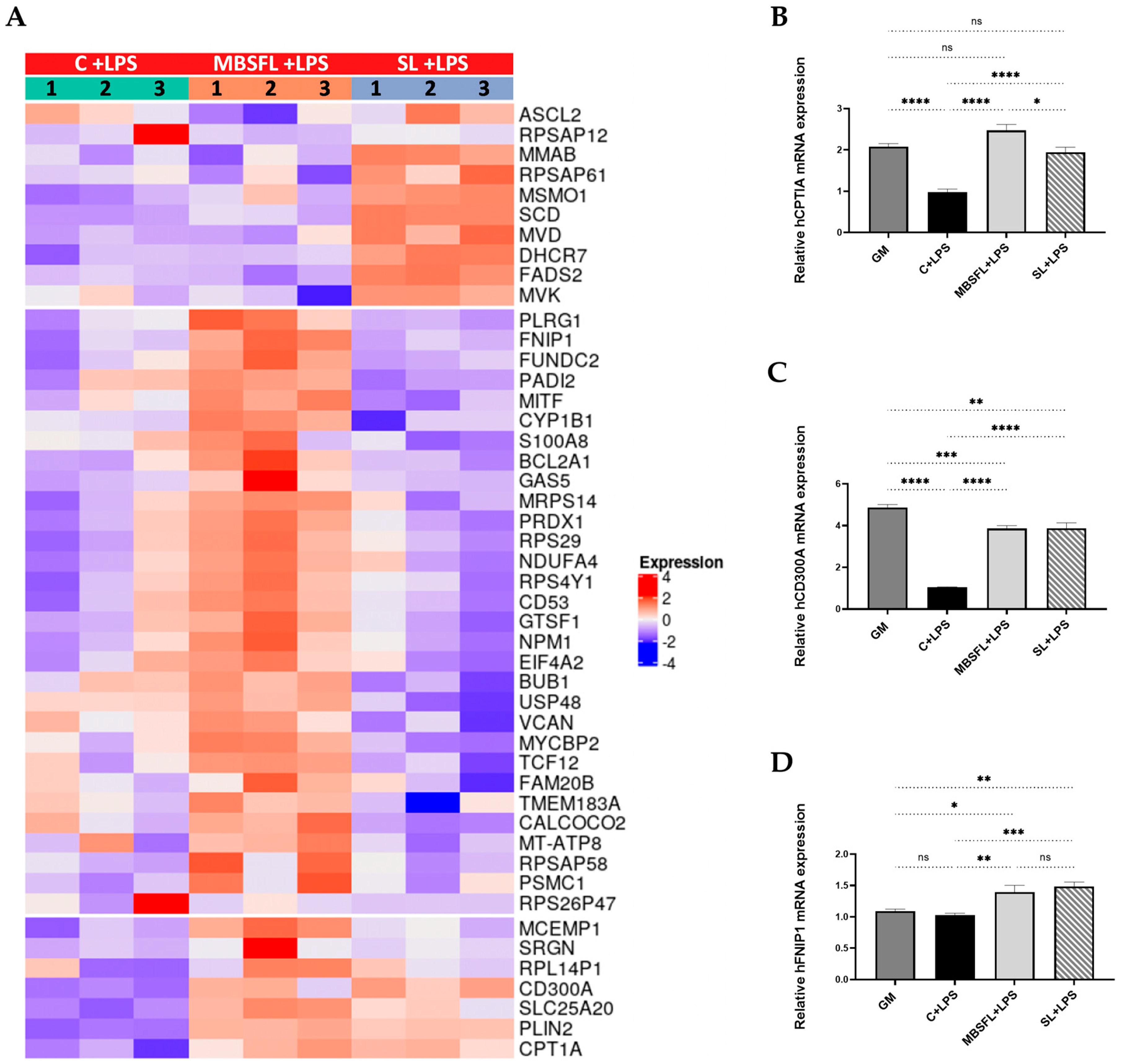 Ijms 24 10634 g003a Ijms 24 10634 g003a