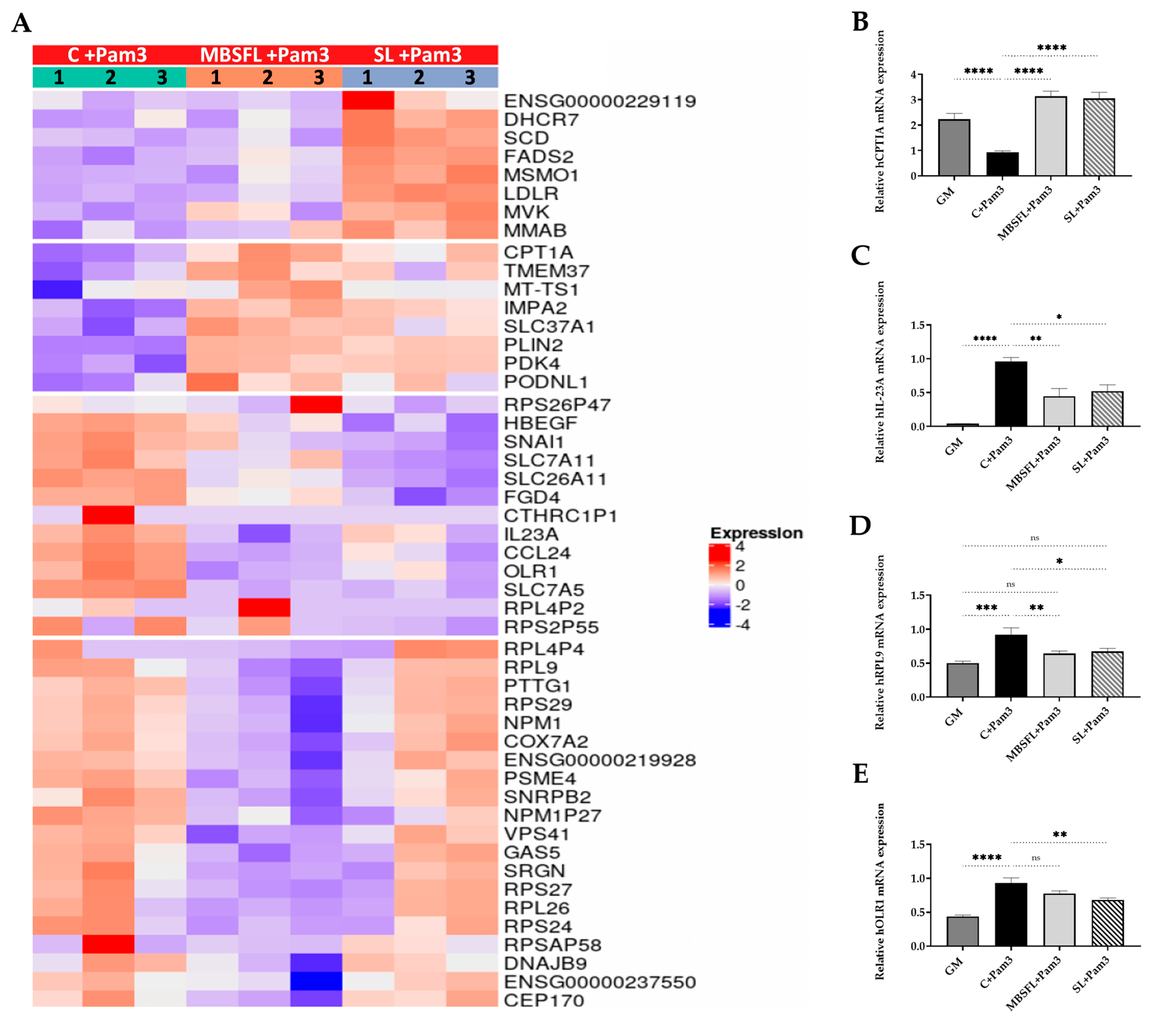 Ijms 24 10634 g004a Ijms 24 10634 g004a