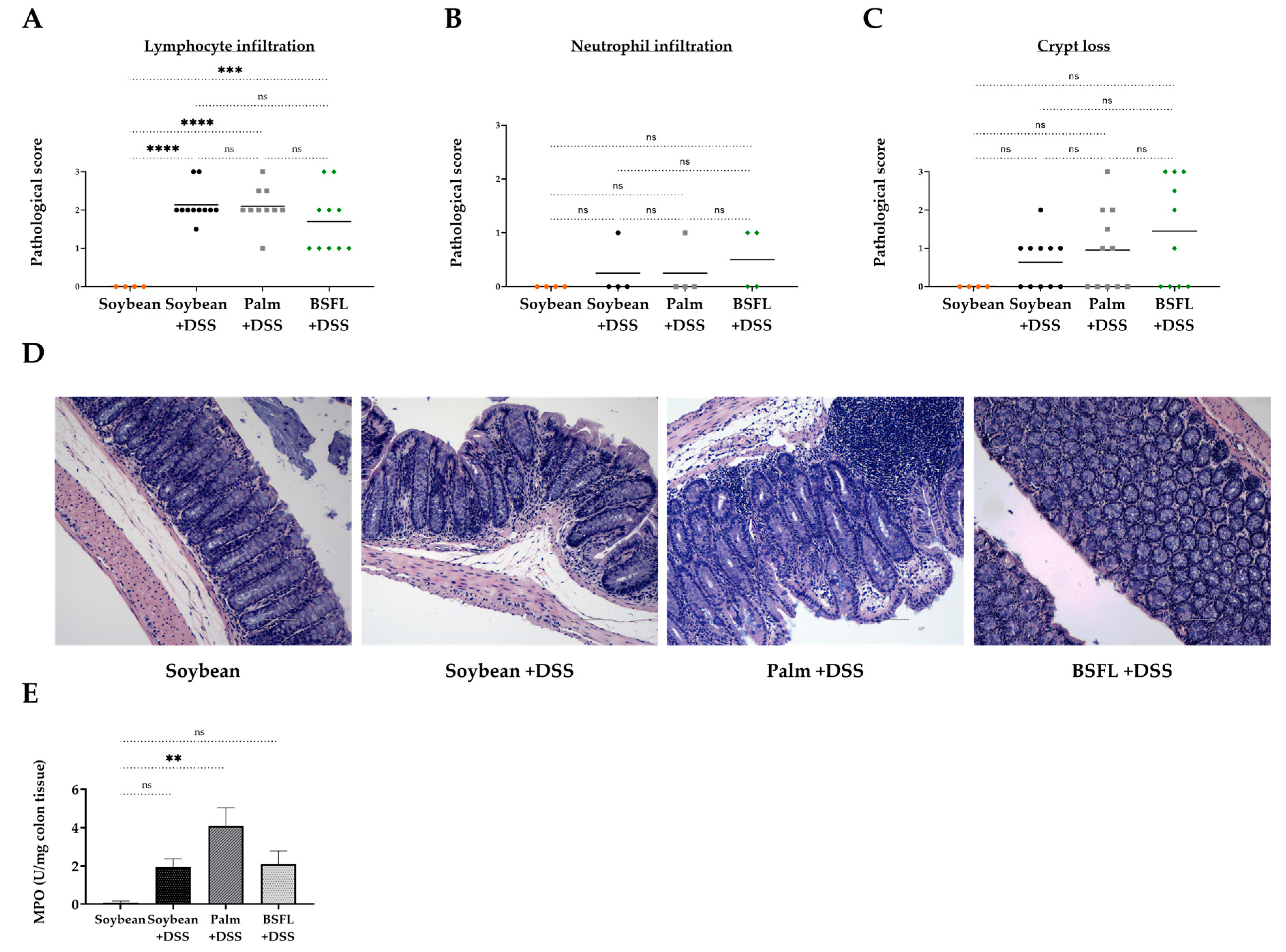 Ijms 24 10634 g007 Ijms 24 10634 g007