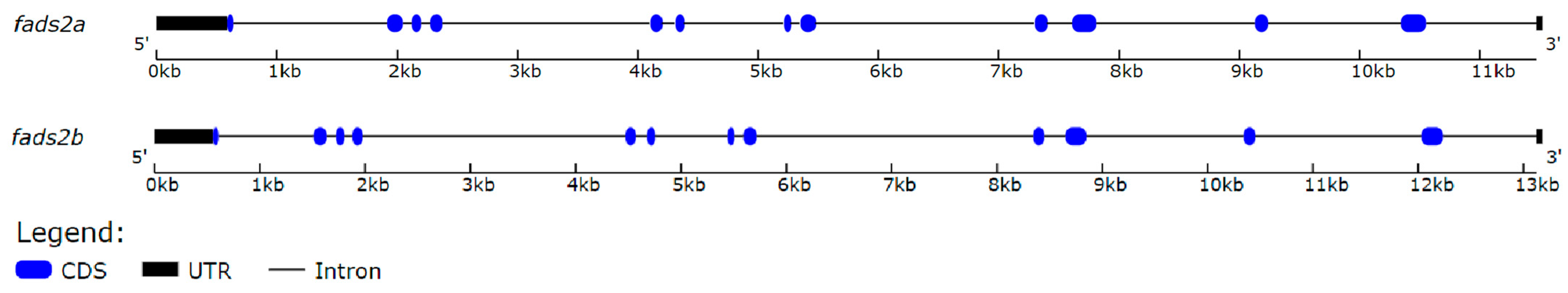 Ijms 24 10638 g001 Ijms 24 10638 g001