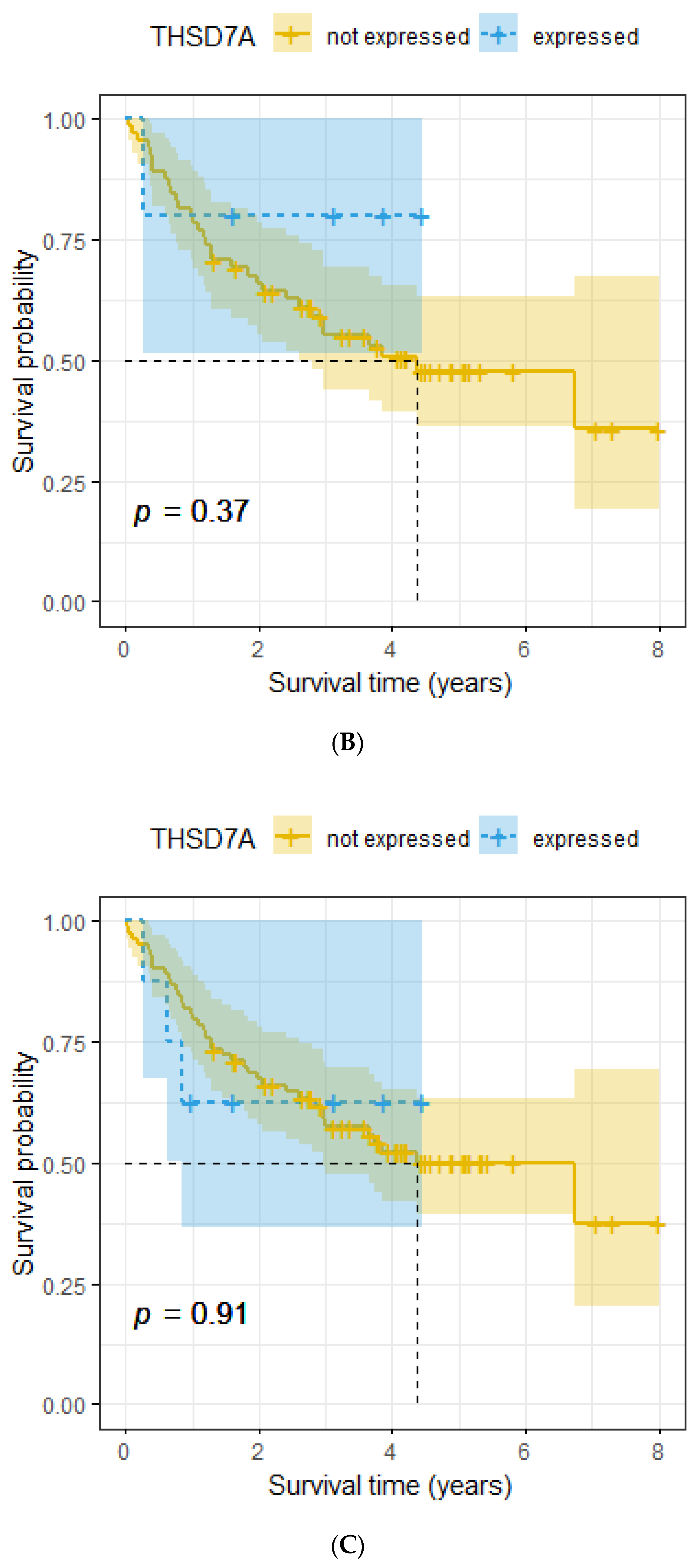 Ijms 24 10639 g002b Ijms 24 10639 g002b