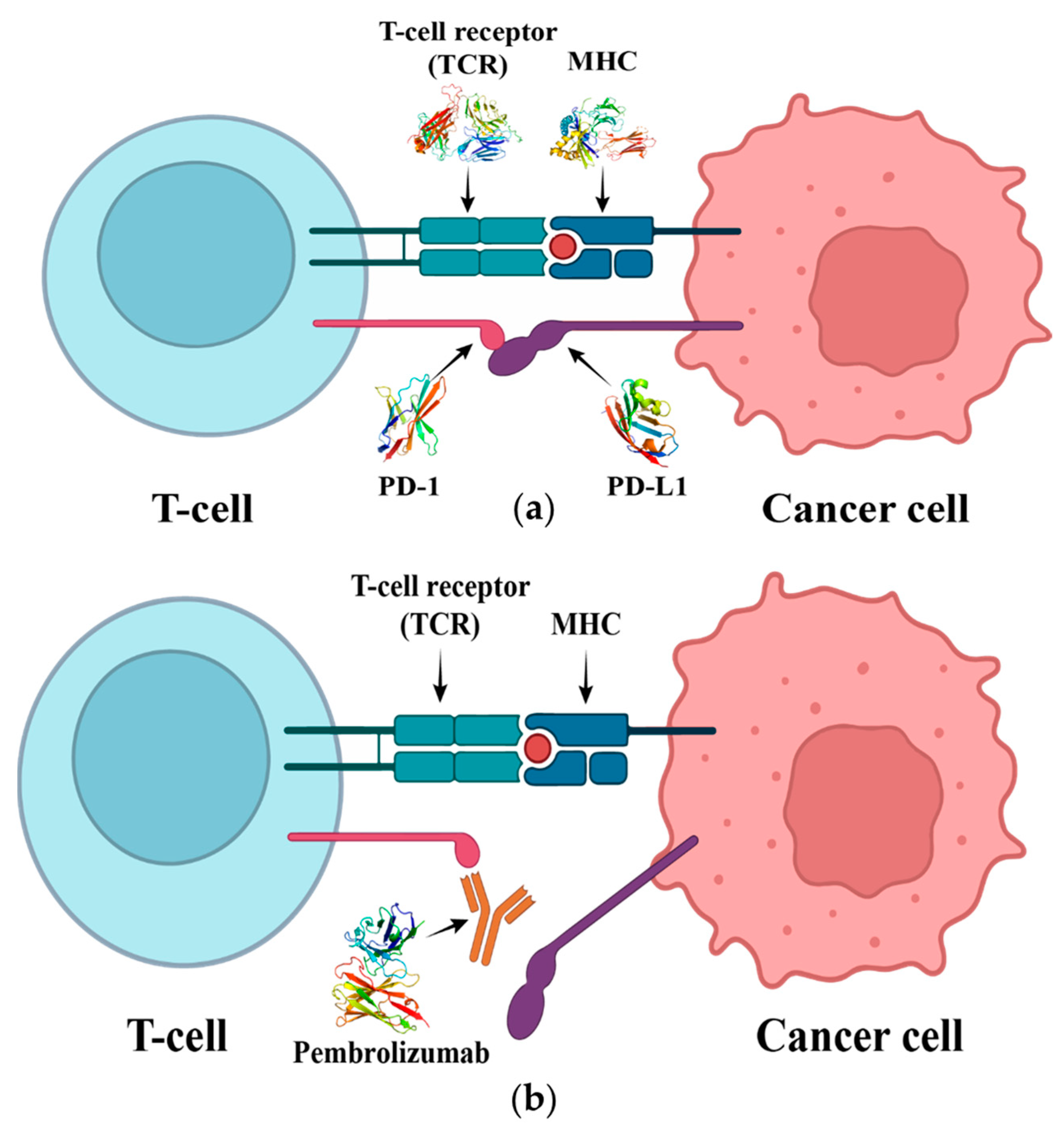 Ijms 24 10684 g001 Ijms 24 10684 g001