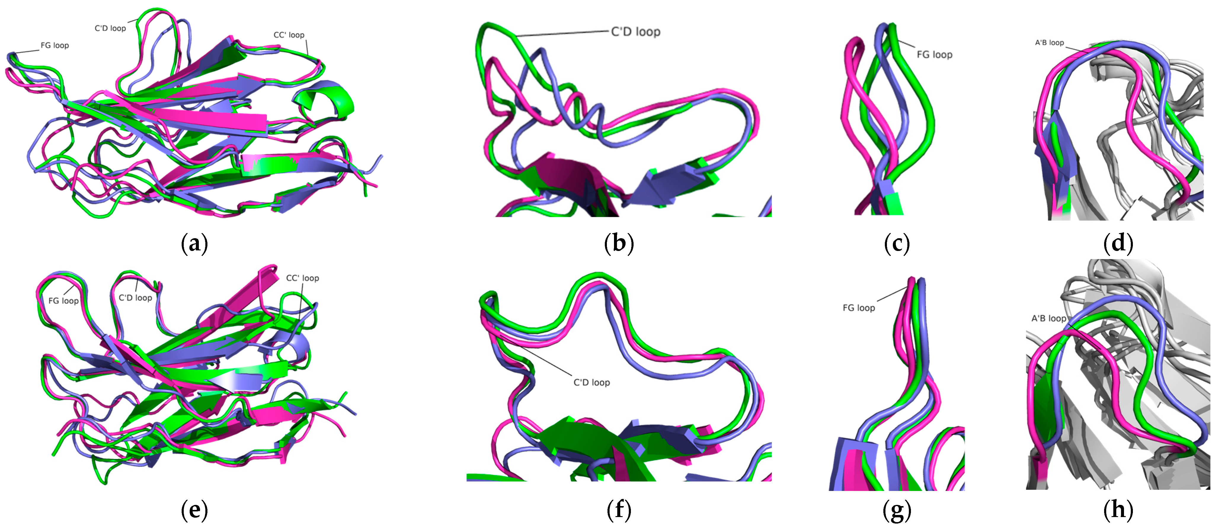 Ijms 24 10684 g003 Ijms 24 10684 g003