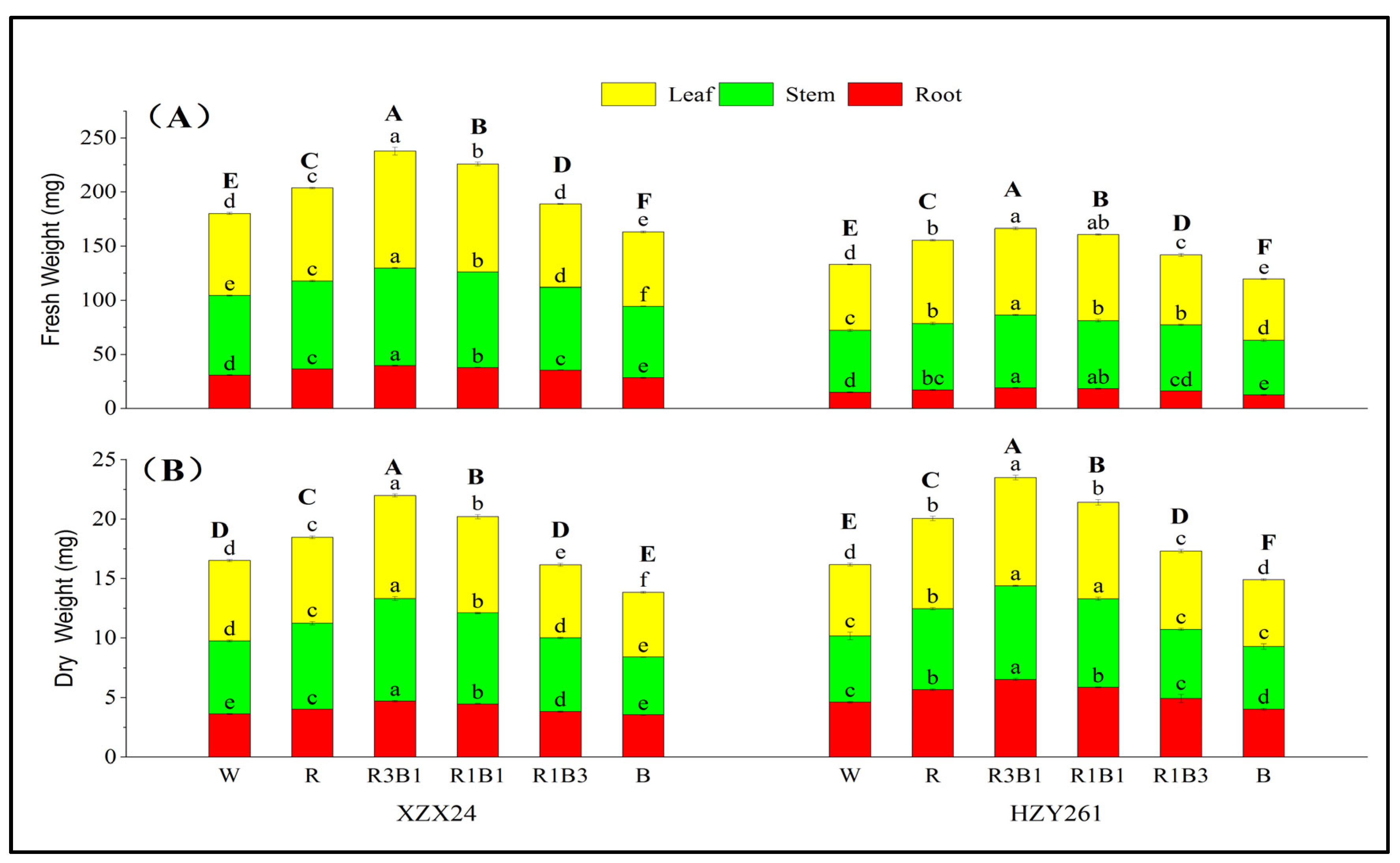 Ijms 24 10706 g001 Ijms 24 10706 g001