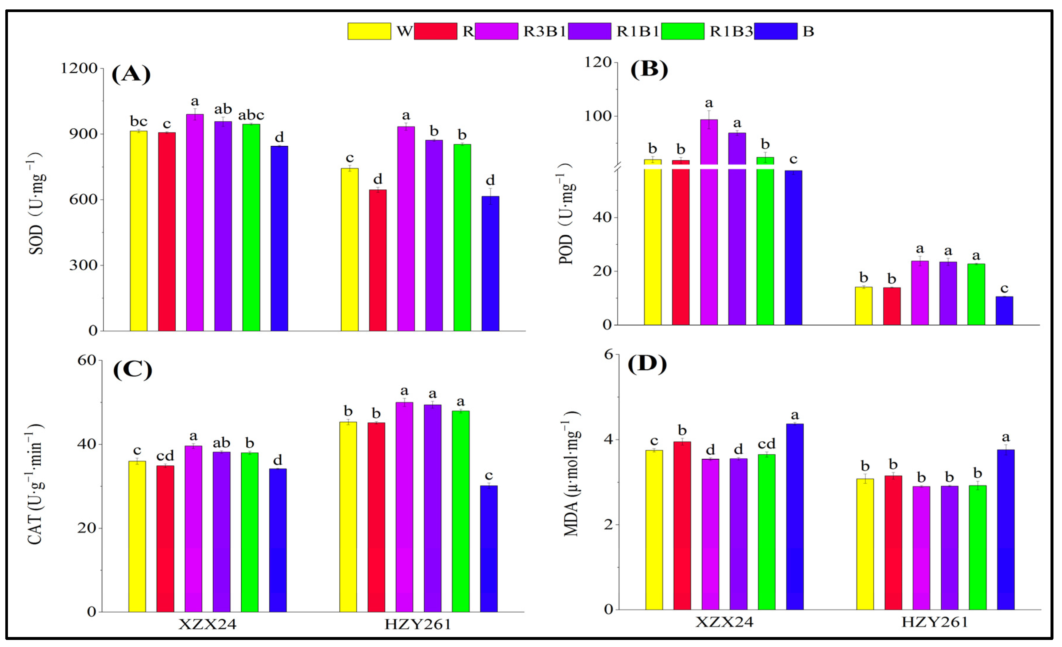 Ijms 24 10706 g002 Ijms 24 10706 g002
