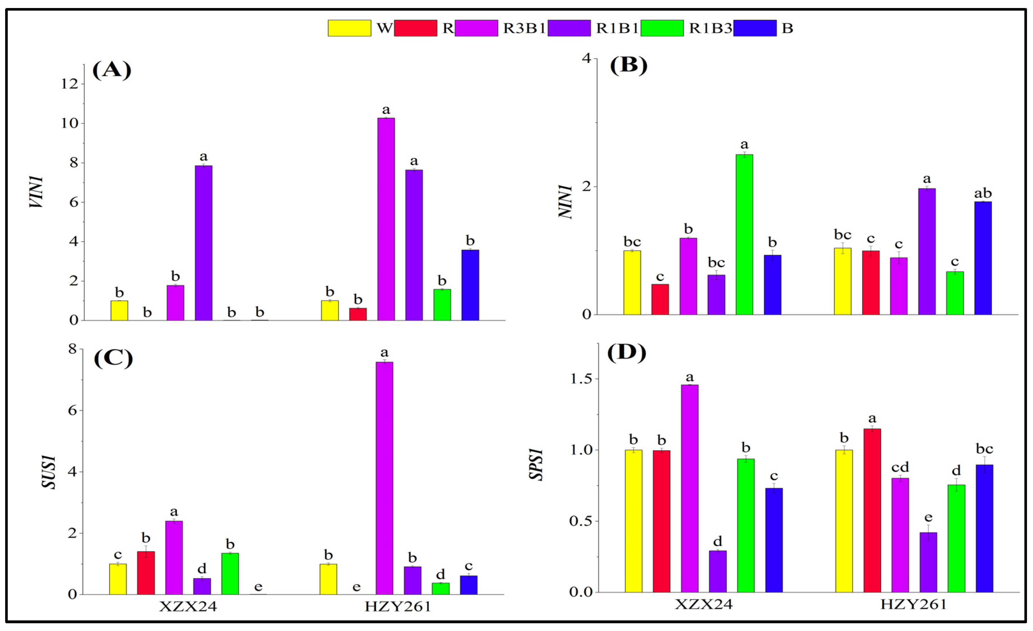Ijms 24 10706 g005 Ijms 24 10706 g005