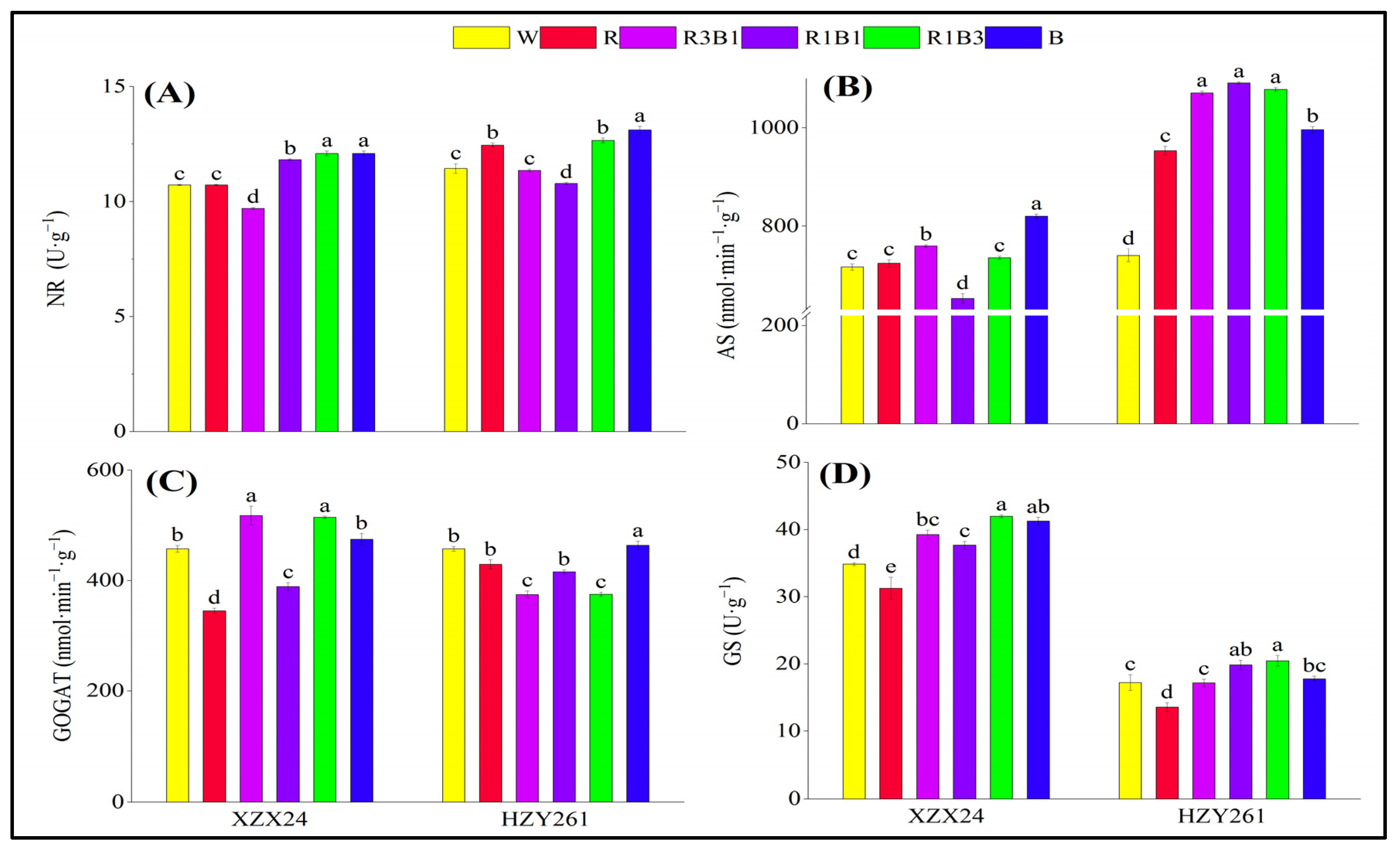 Ijms 24 10706 g007 Ijms 24 10706 g007