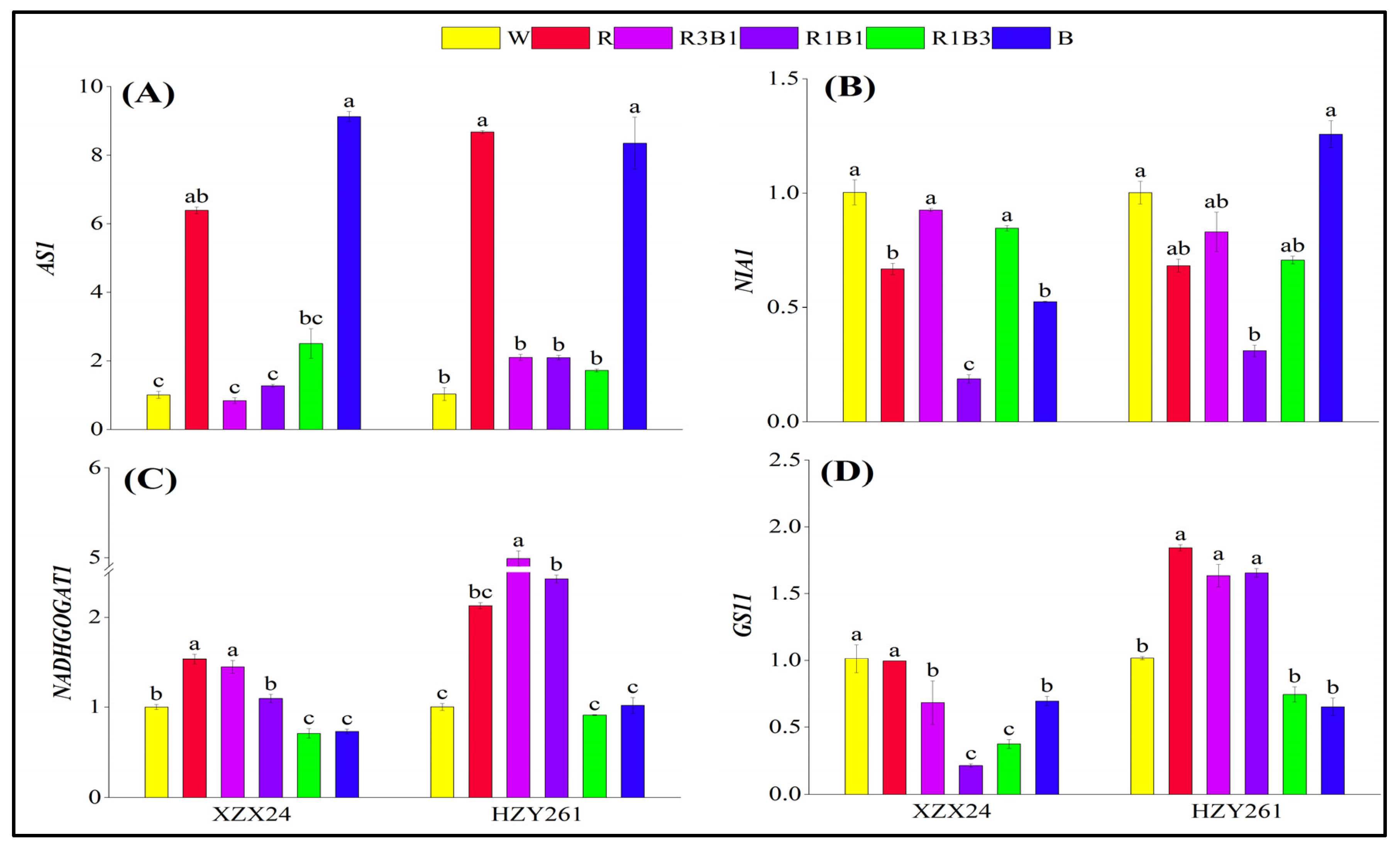 Ijms 24 10706 g008 Ijms 24 10706 g008