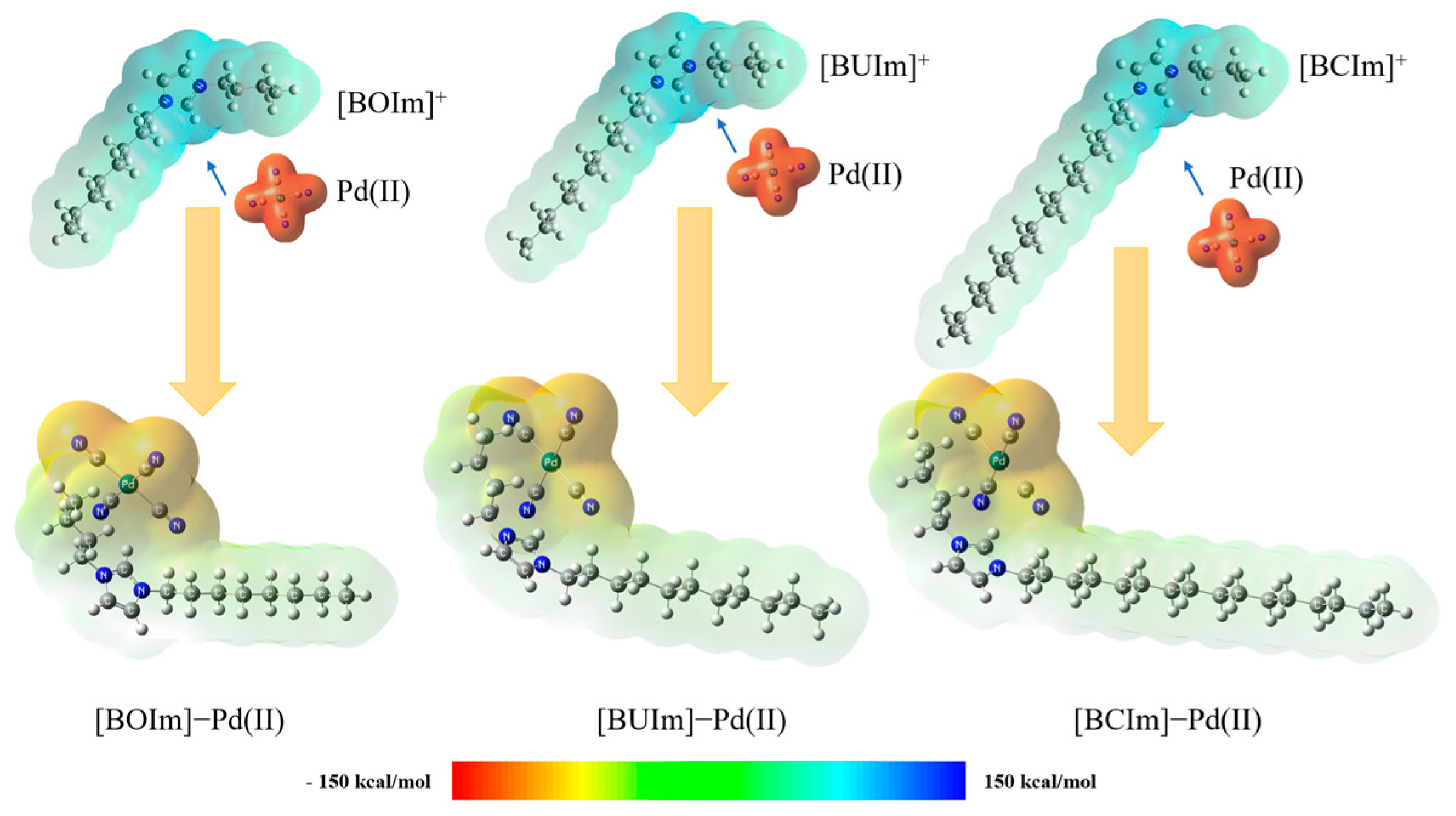 Ijms 24 10709 g014 Ijms 24 10709 g014