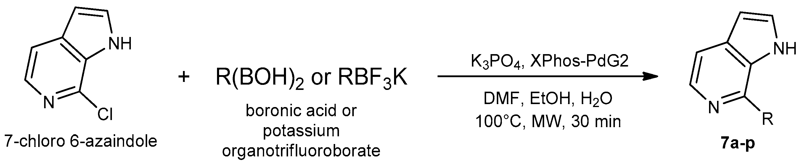 Ijms 24 10722 sch061