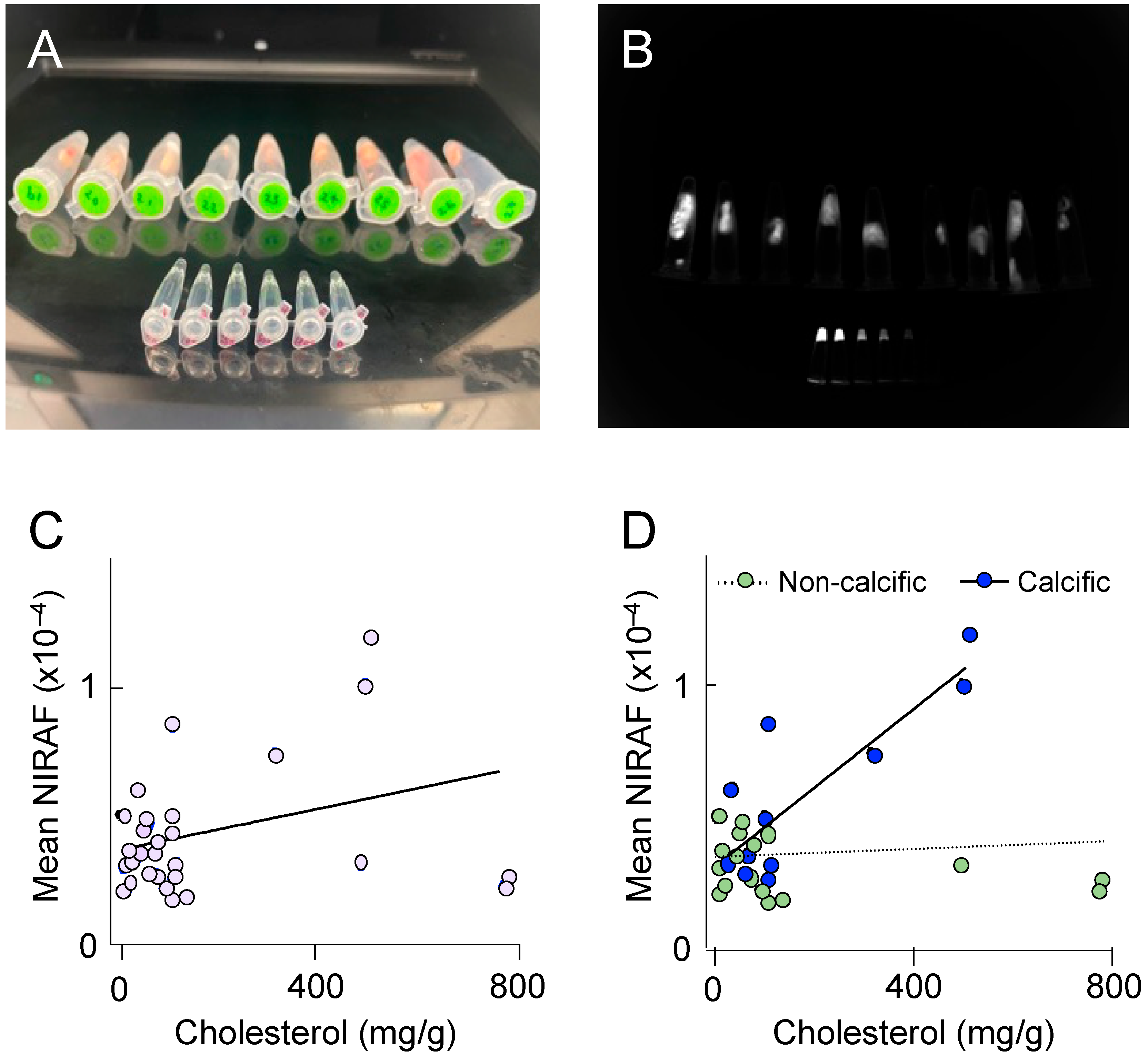 Ijms 24 10727 g004 Ijms 24 10727 g004