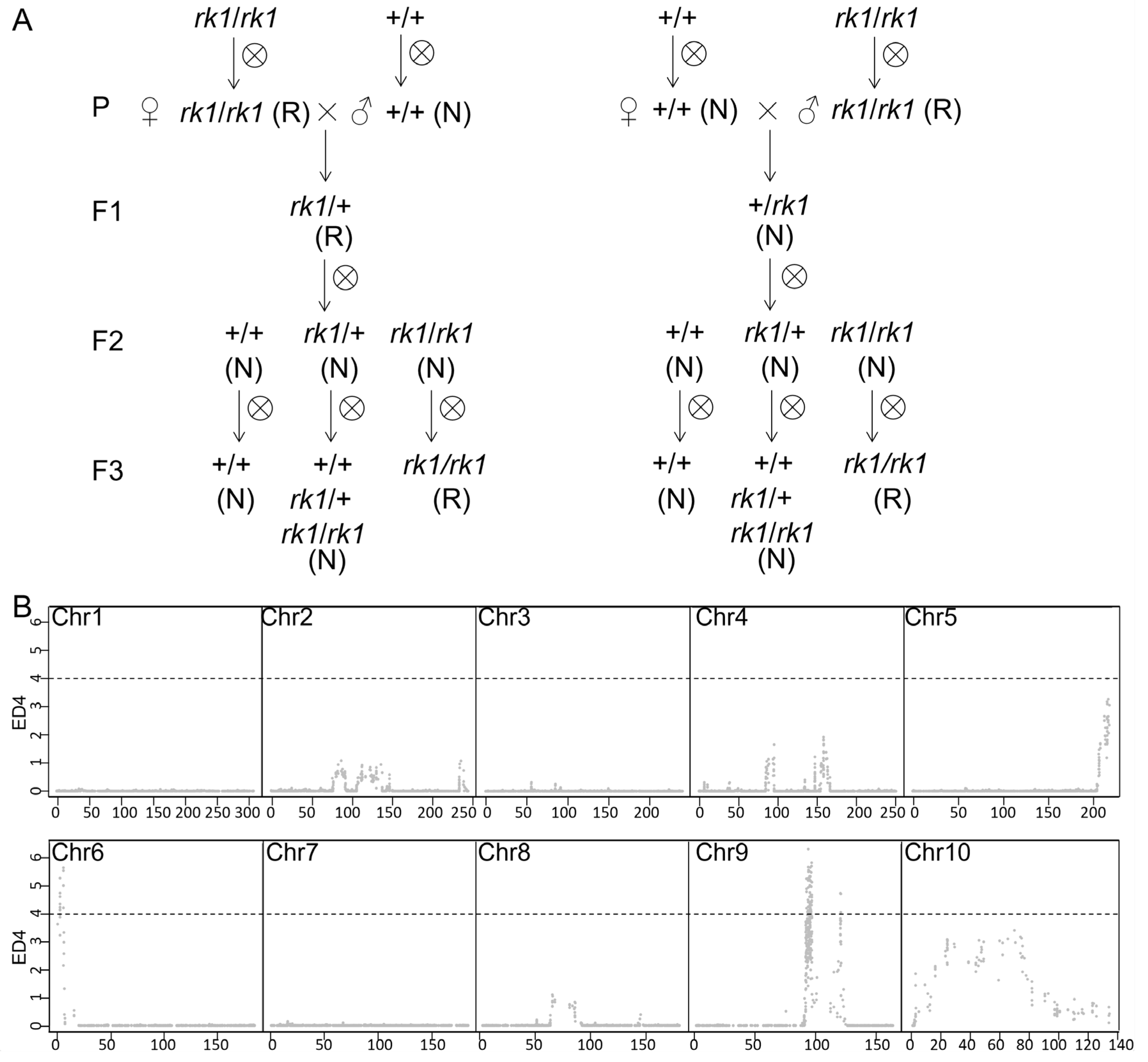 Ijms 24 10728 g002 Ijms 24 10728 g002