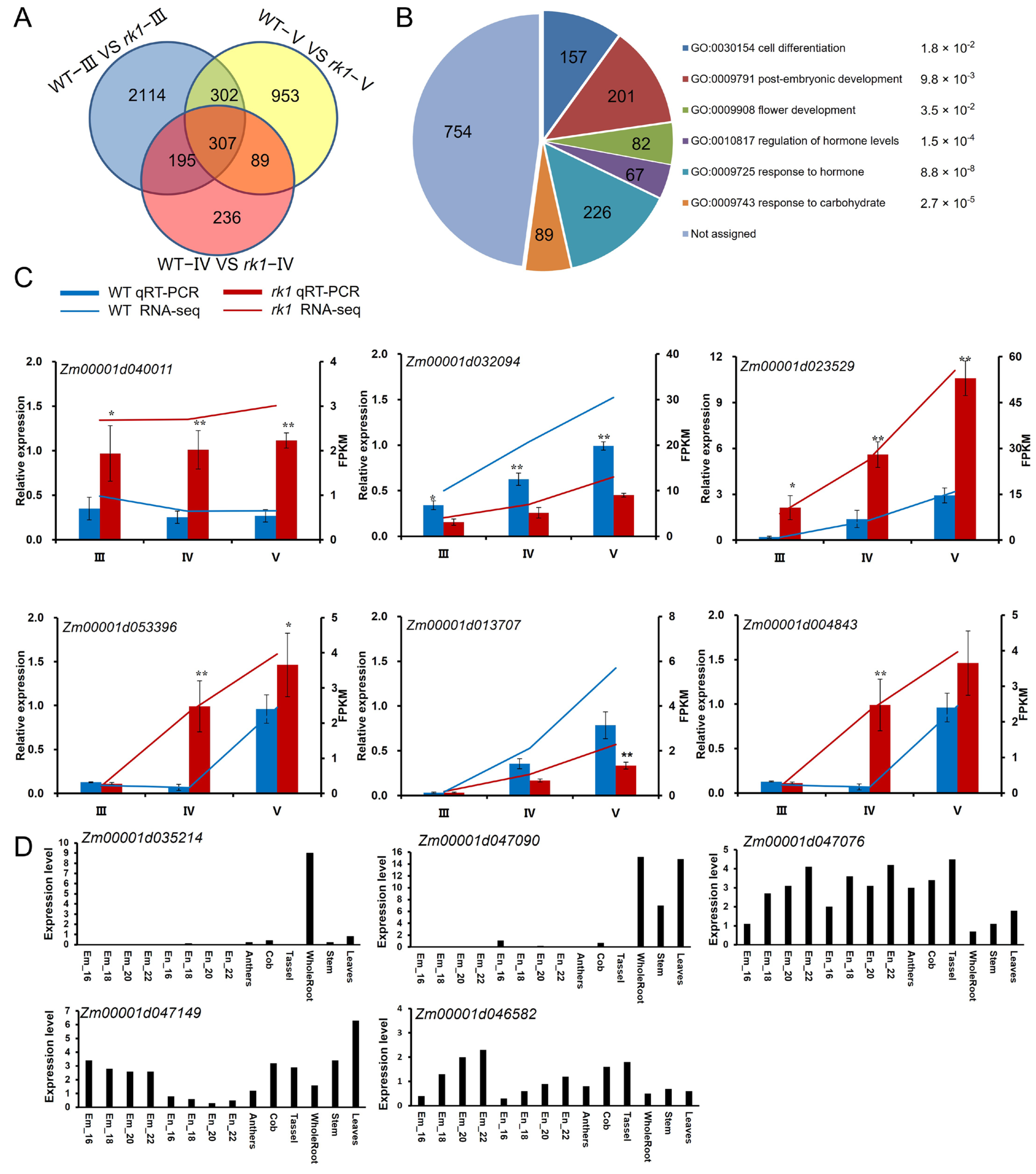 Ijms 24 10728 g006 Ijms 24 10728 g006