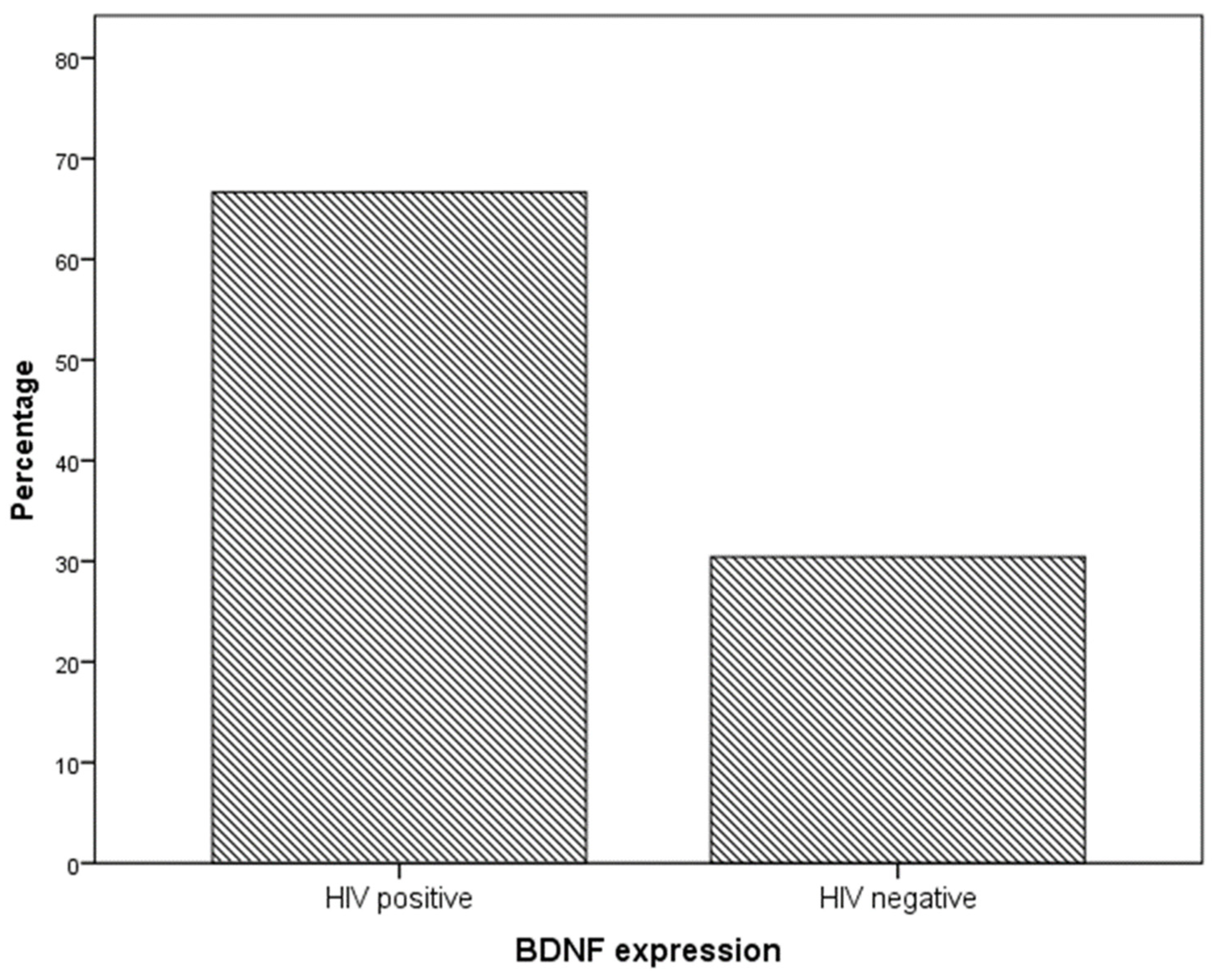 Ijms 24 10729 g001 Ijms 24 10729 g001