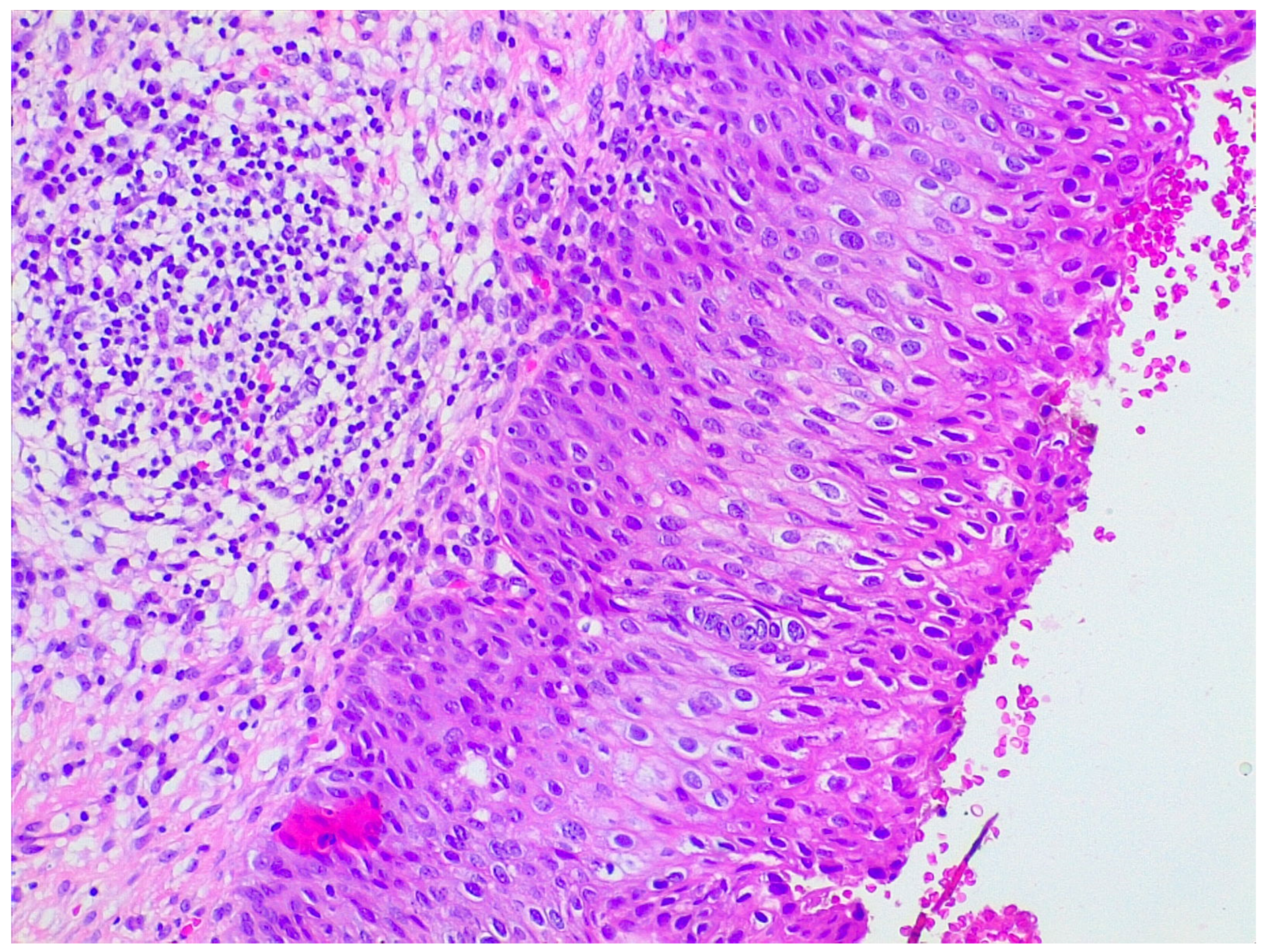 Ijms 24 10729 g005 Ijms 24 10729 g005