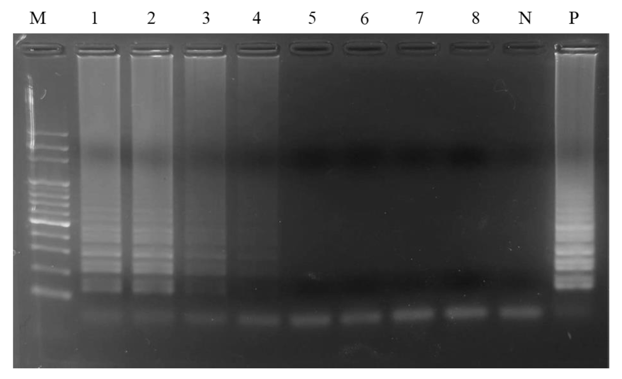 Ijms 24 10730 g003 Ijms 24 10730 g003