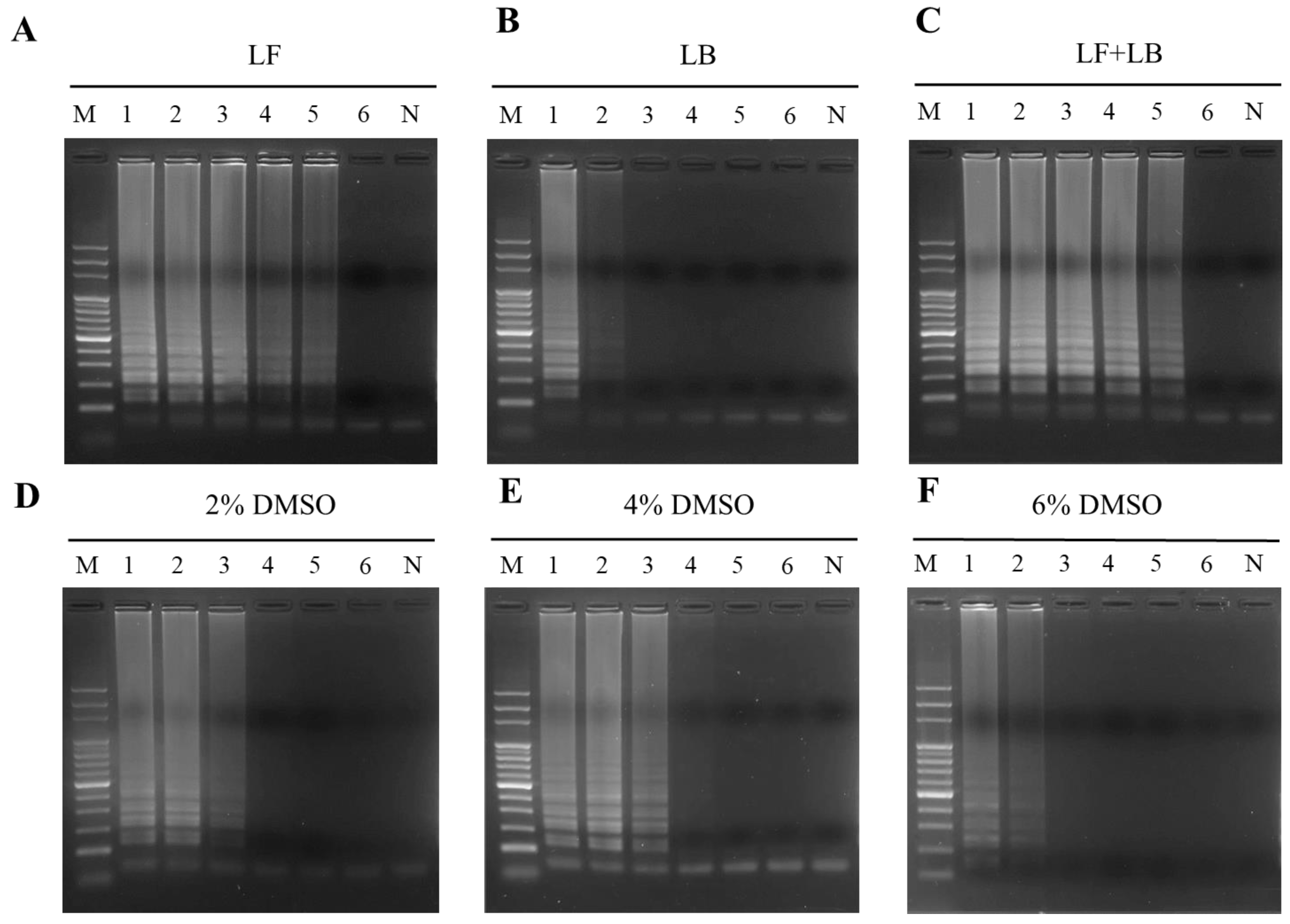 Ijms 24 10730 g004 Ijms 24 10730 g004