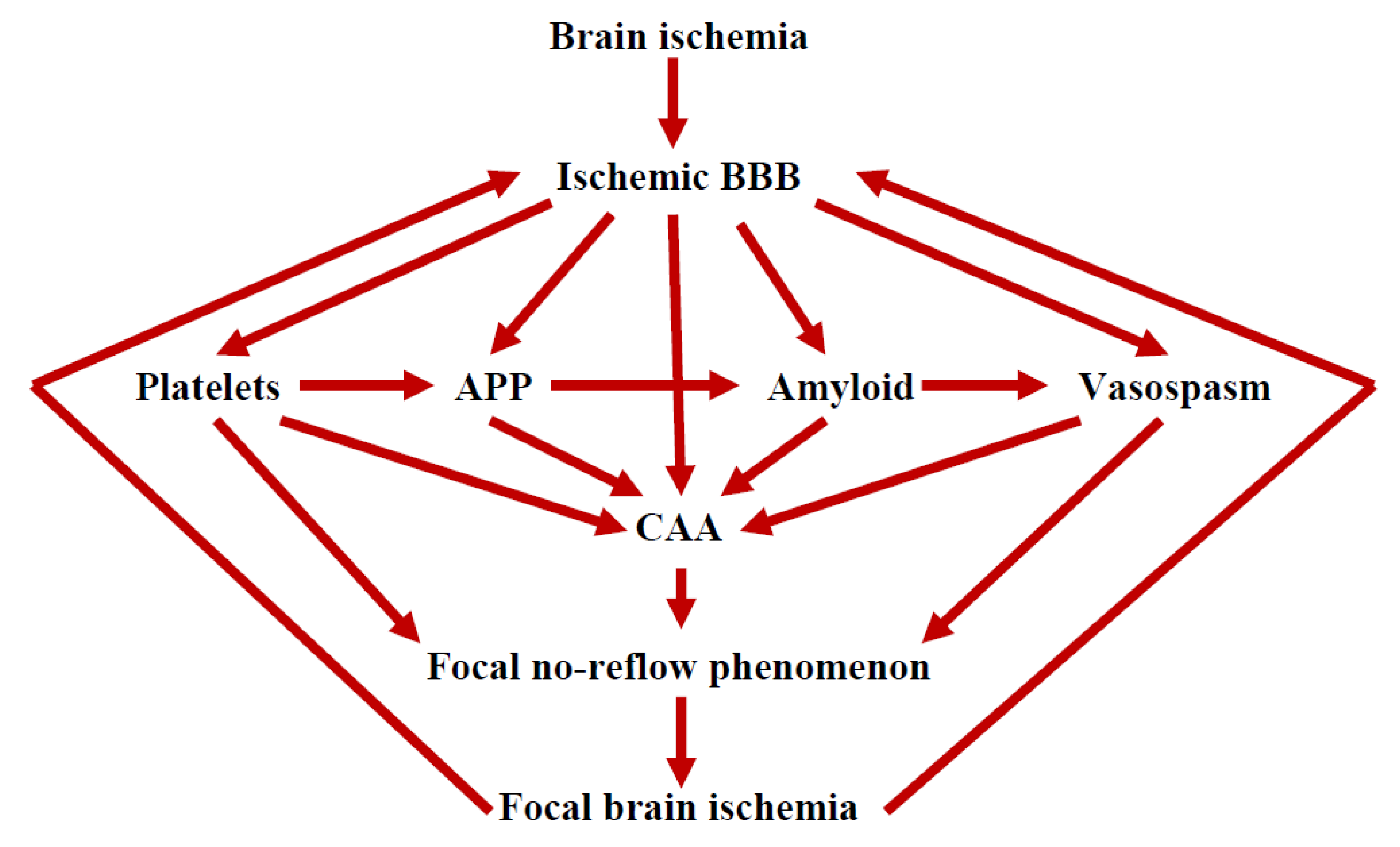 Ijms 24 10739 g001 Ijms 24 10739 g001