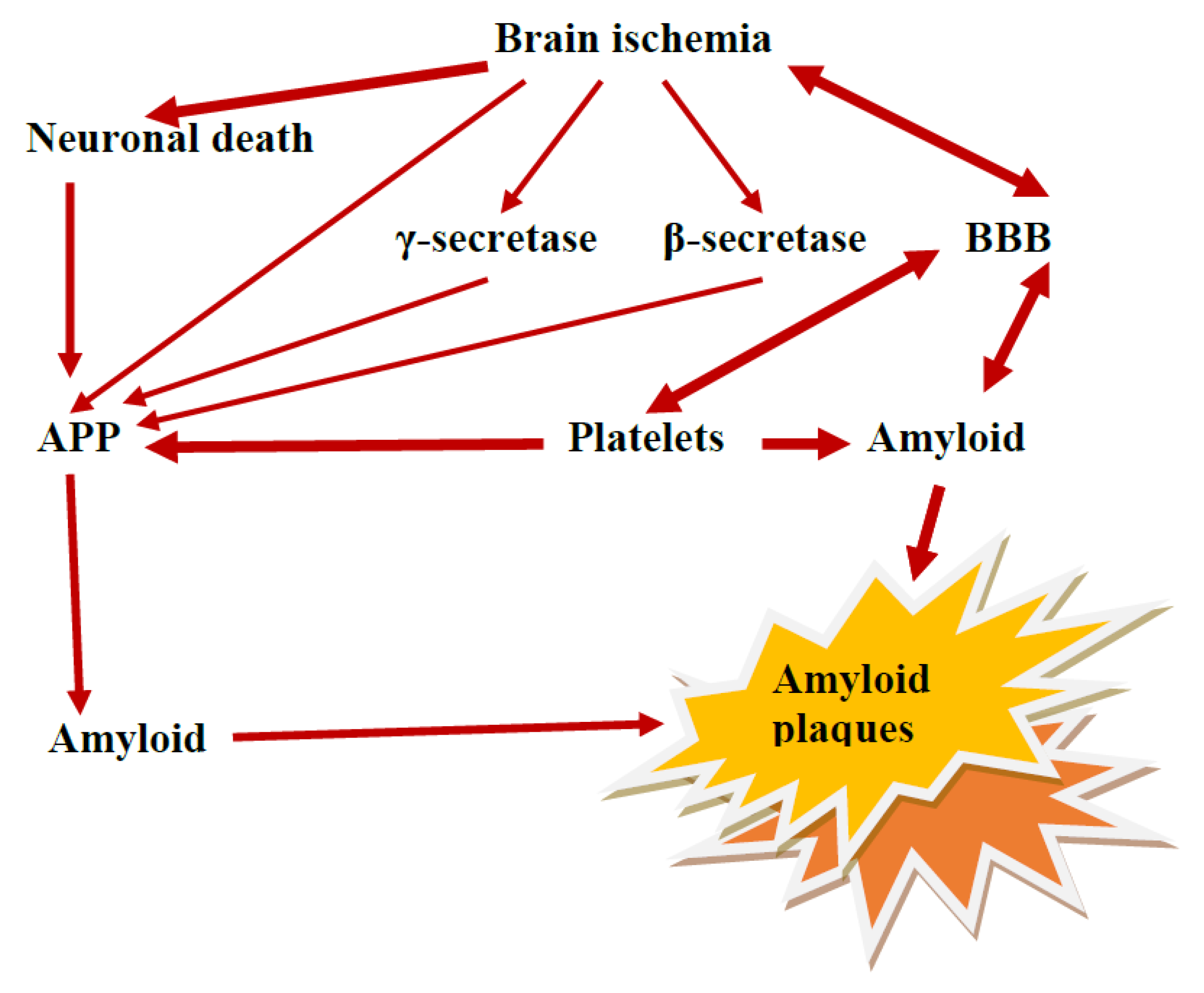 Ijms 24 10739 g002 Ijms 24 10739 g002