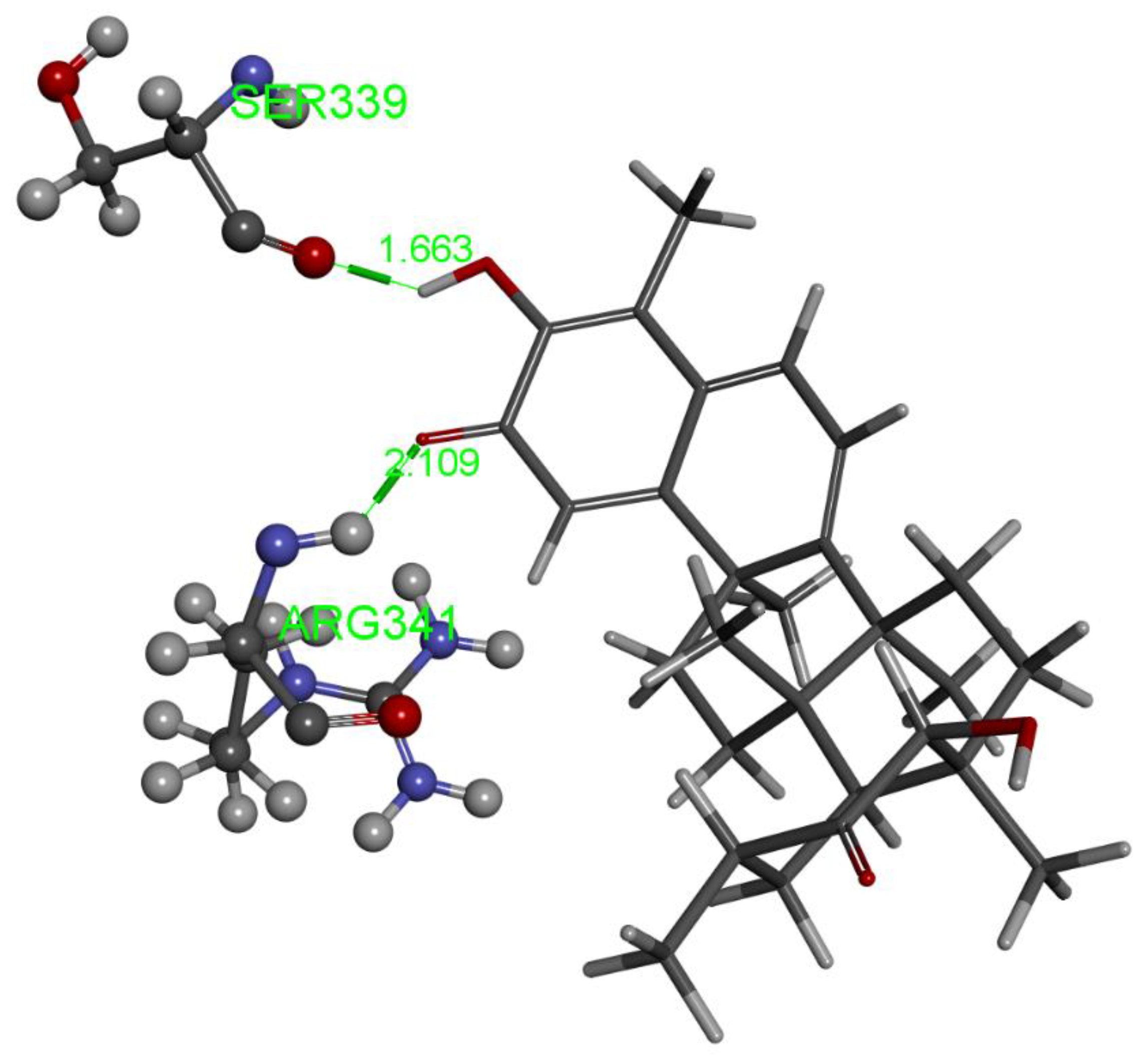 Ijms 24 10750 g004 Ijms 24 10750 g004