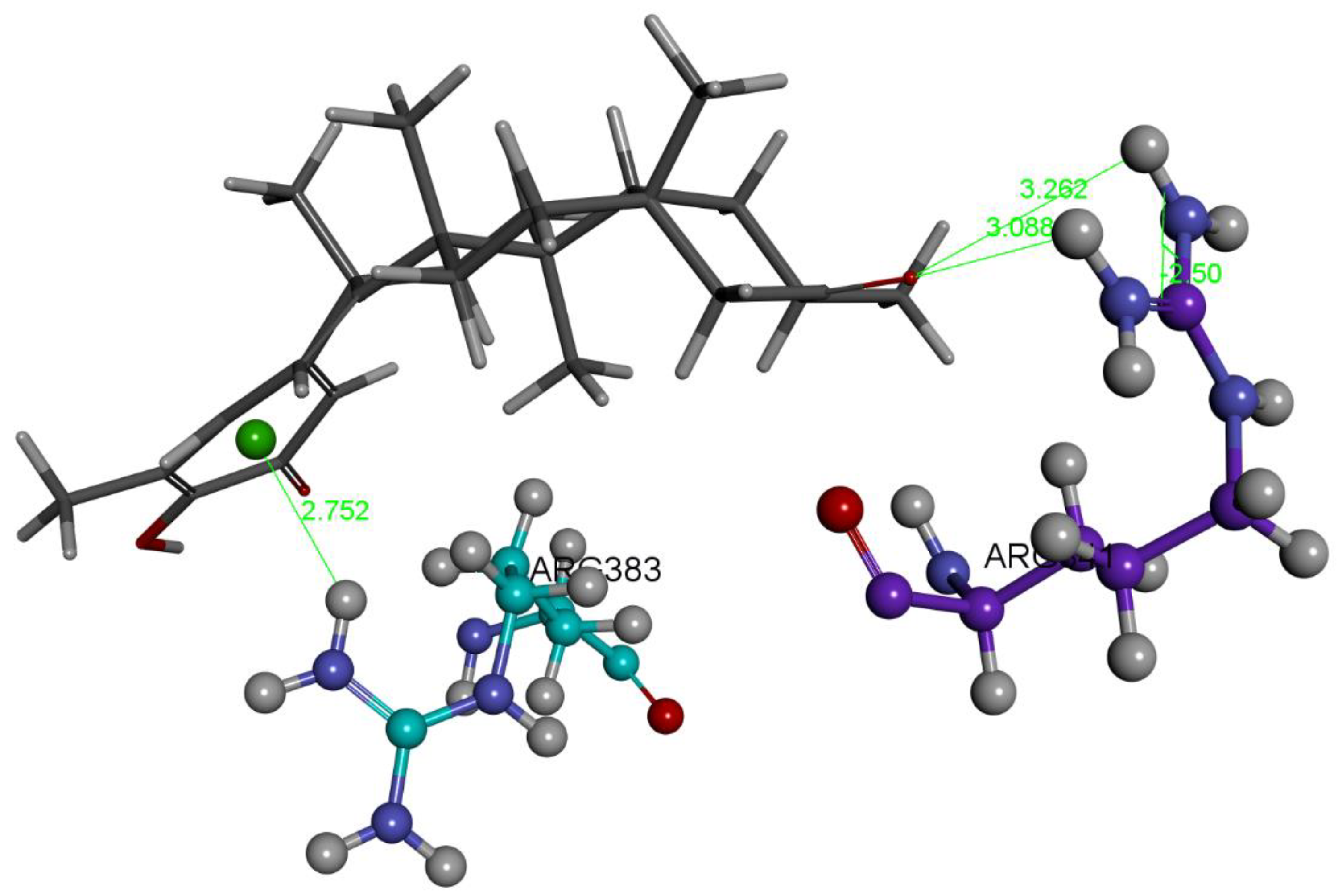 Ijms 24 10750 g006 Ijms 24 10750 g006
