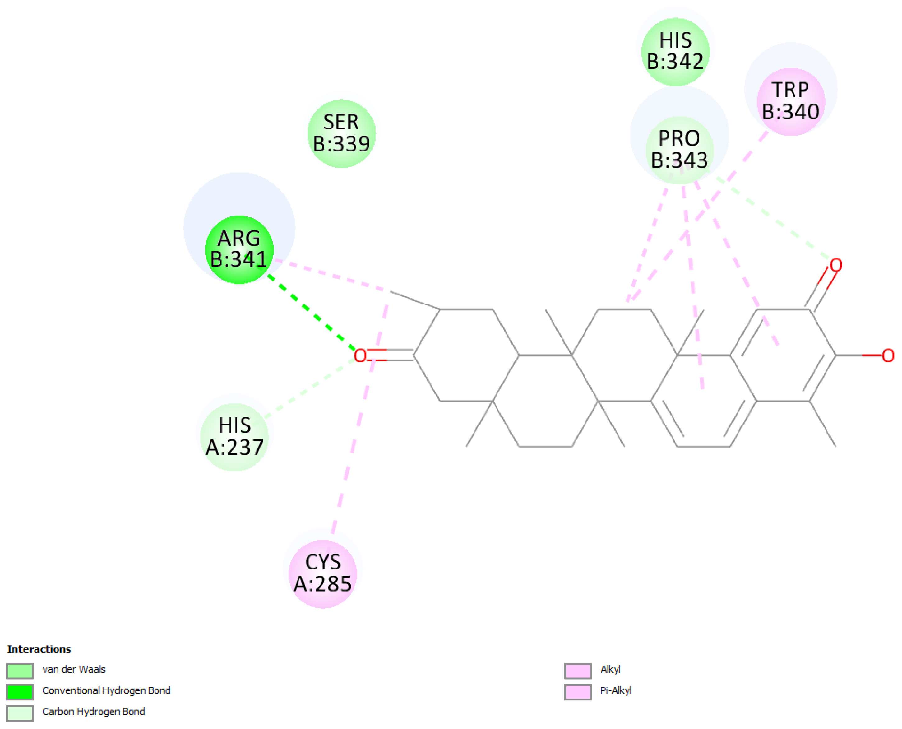 Ijms 24 10750 g007 Ijms 24 10750 g007