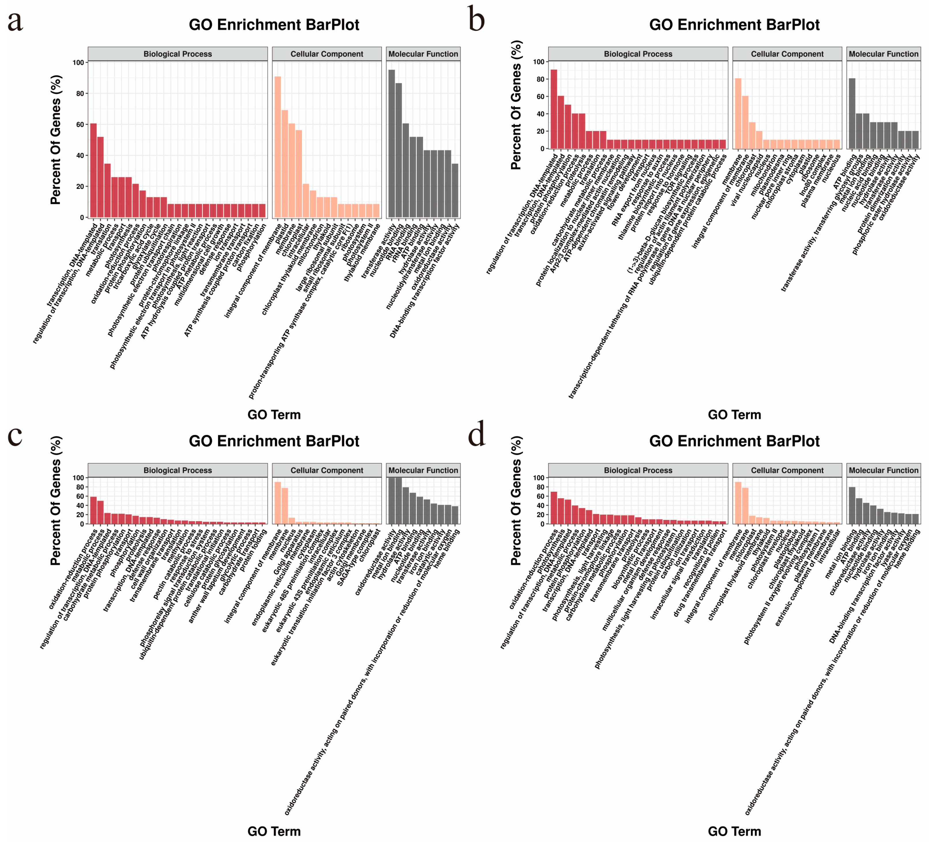 Ijms 24 10759 g004 Ijms 24 10759 g004