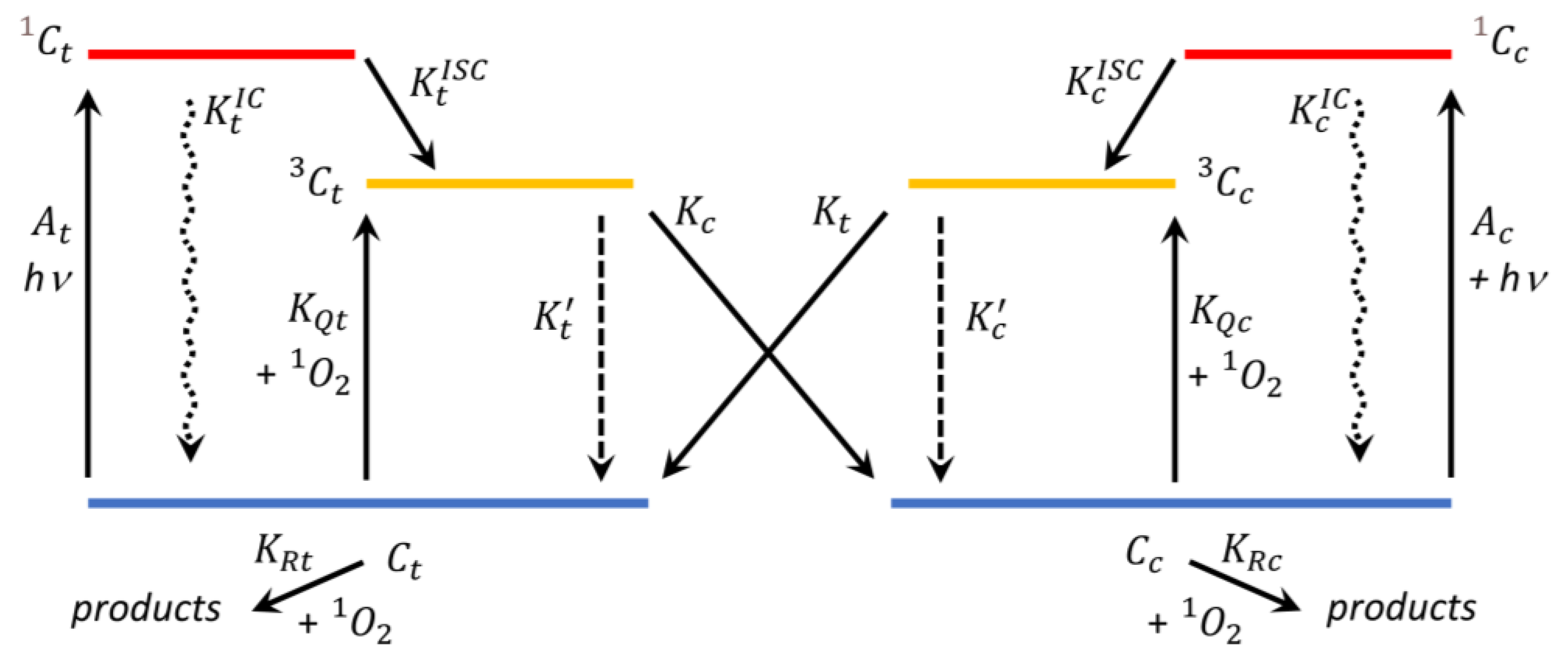 Ijms 24 10783 g002 Ijms 24 10783 g002