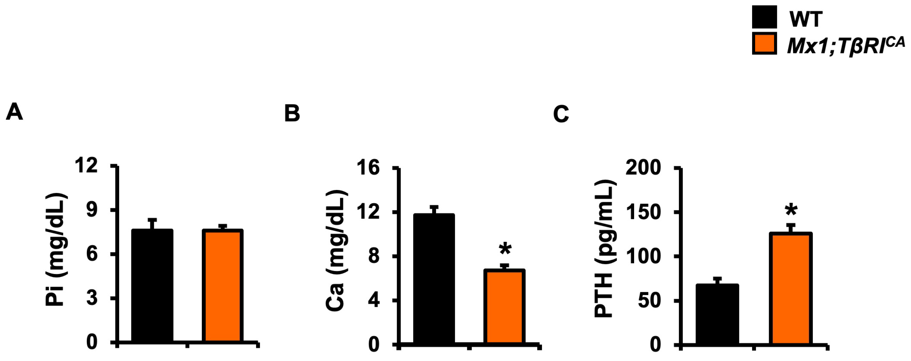 Ijms 24 10797 g002 Ijms 24 10797 g002