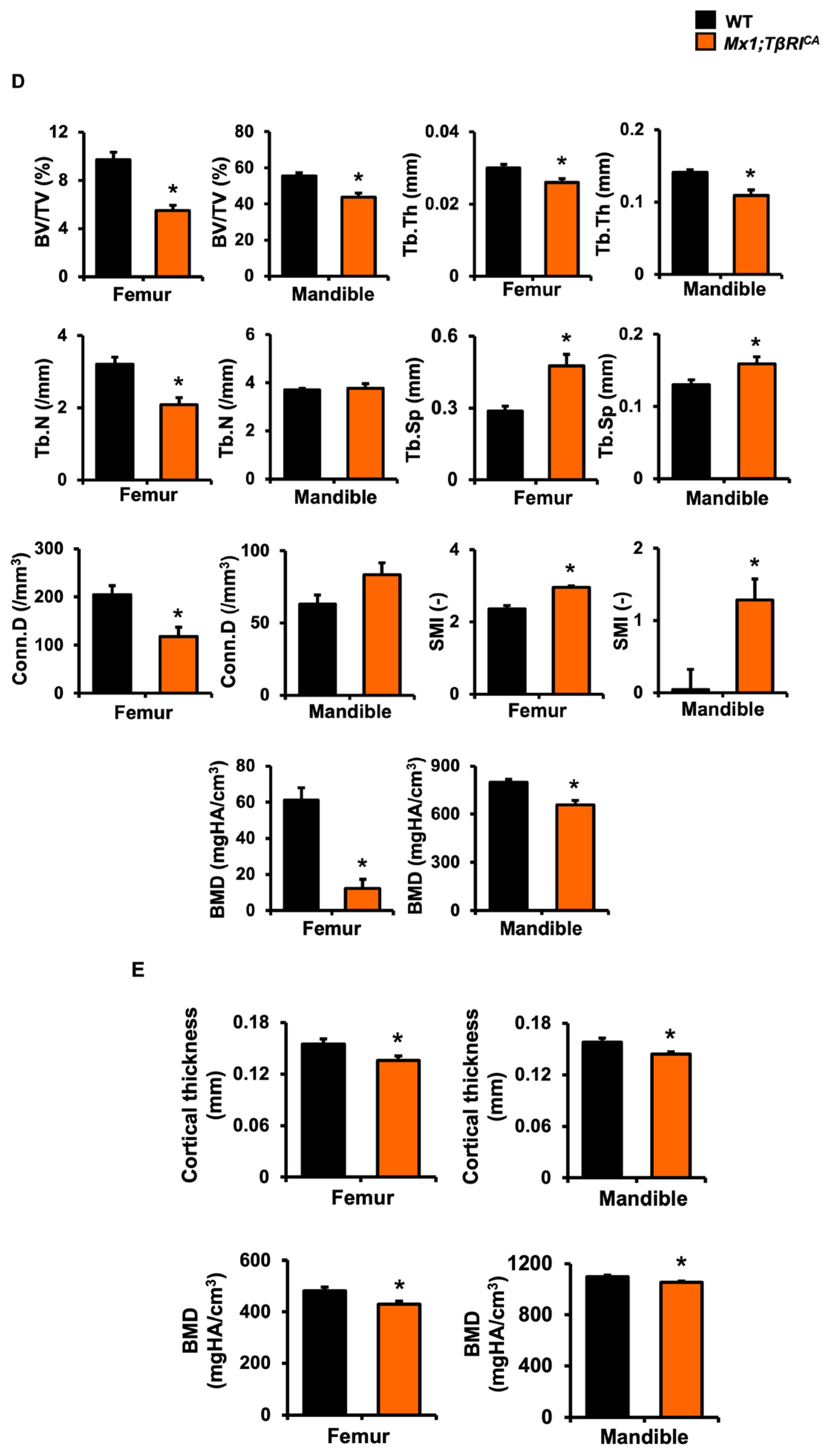 Ijms 24 10797 g003b Ijms 24 10797 g003b