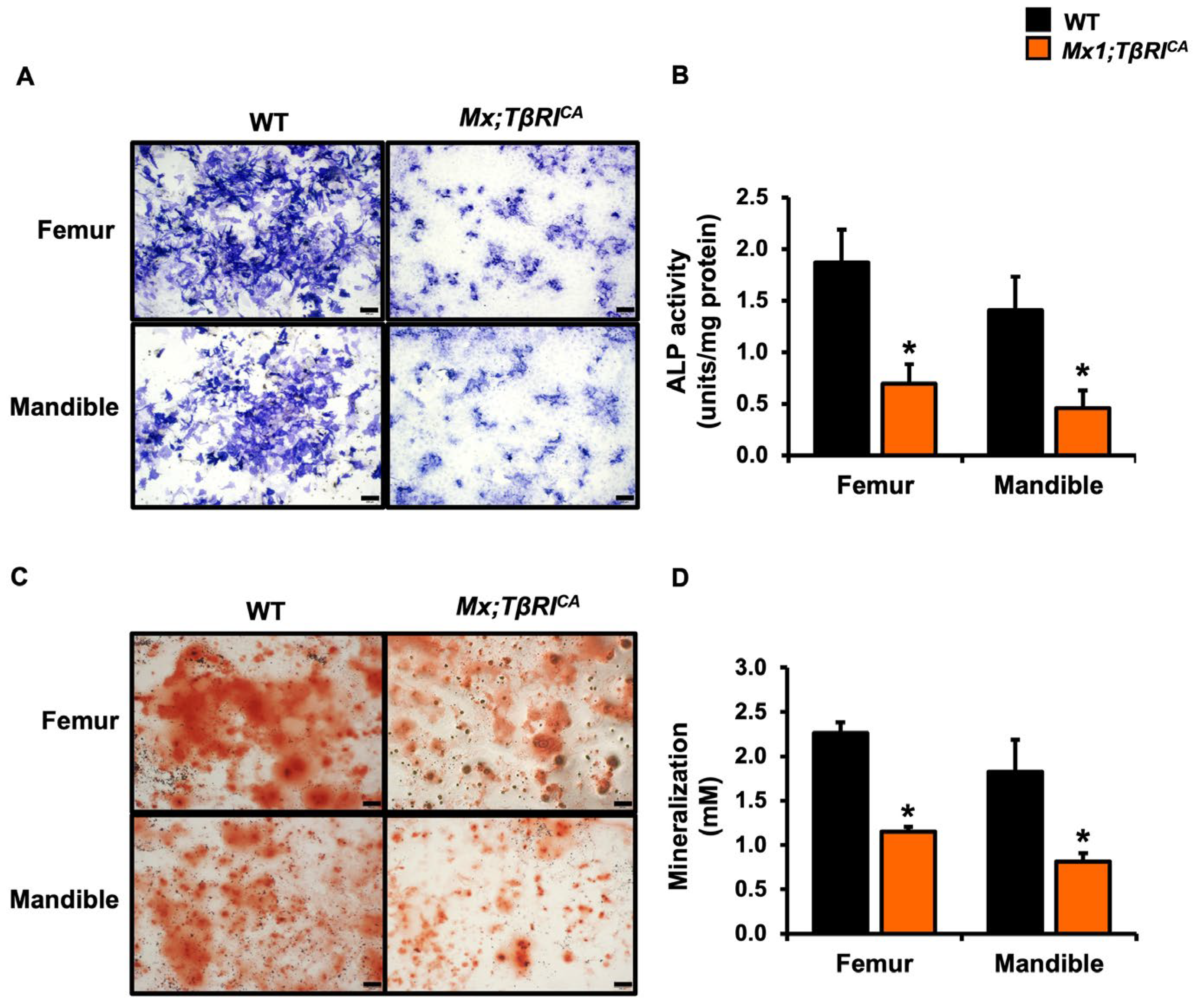 Ijms 24 10797 g004 Ijms 24 10797 g004