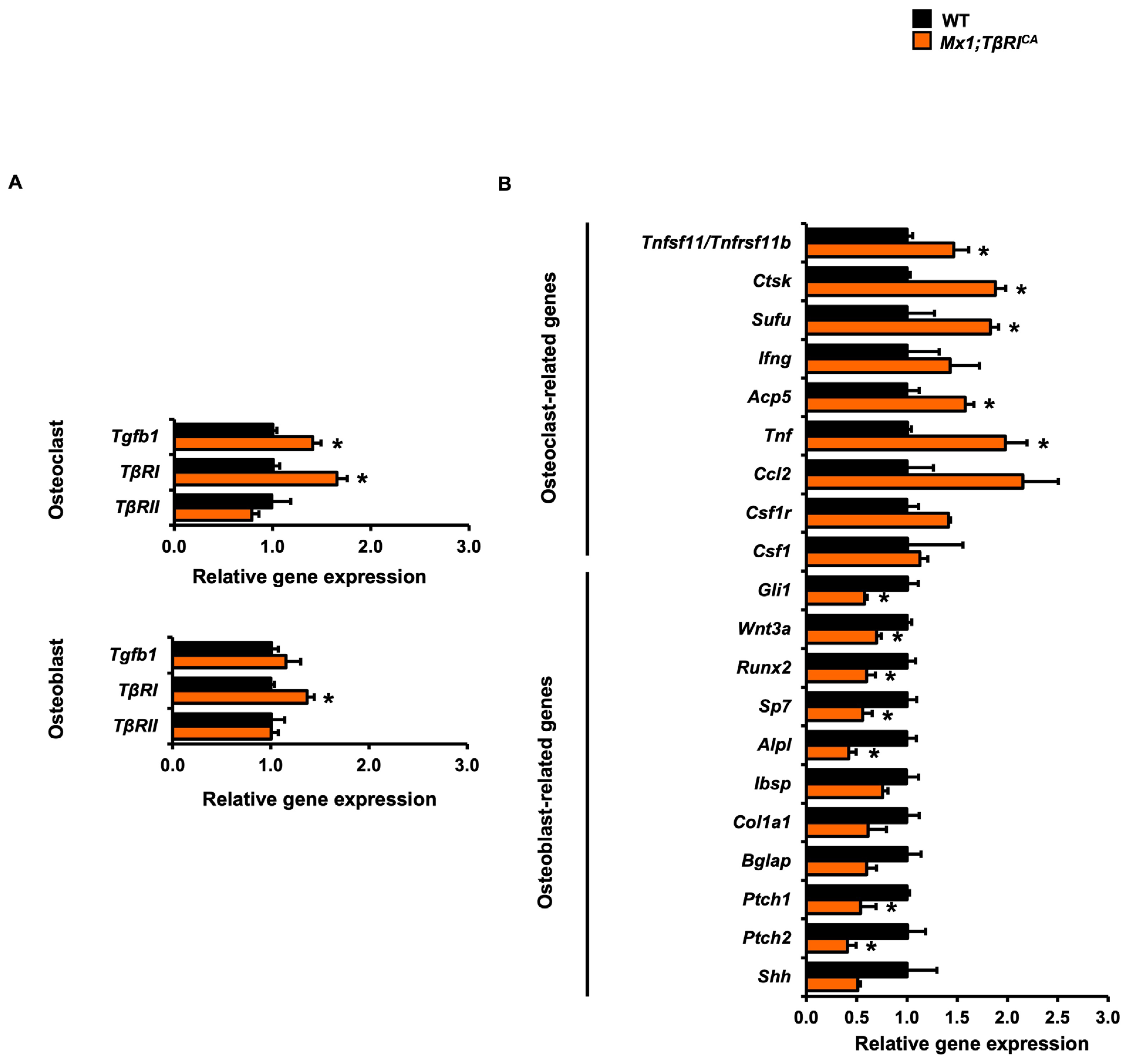 Ijms 24 10797 g007 Ijms 24 10797 g007