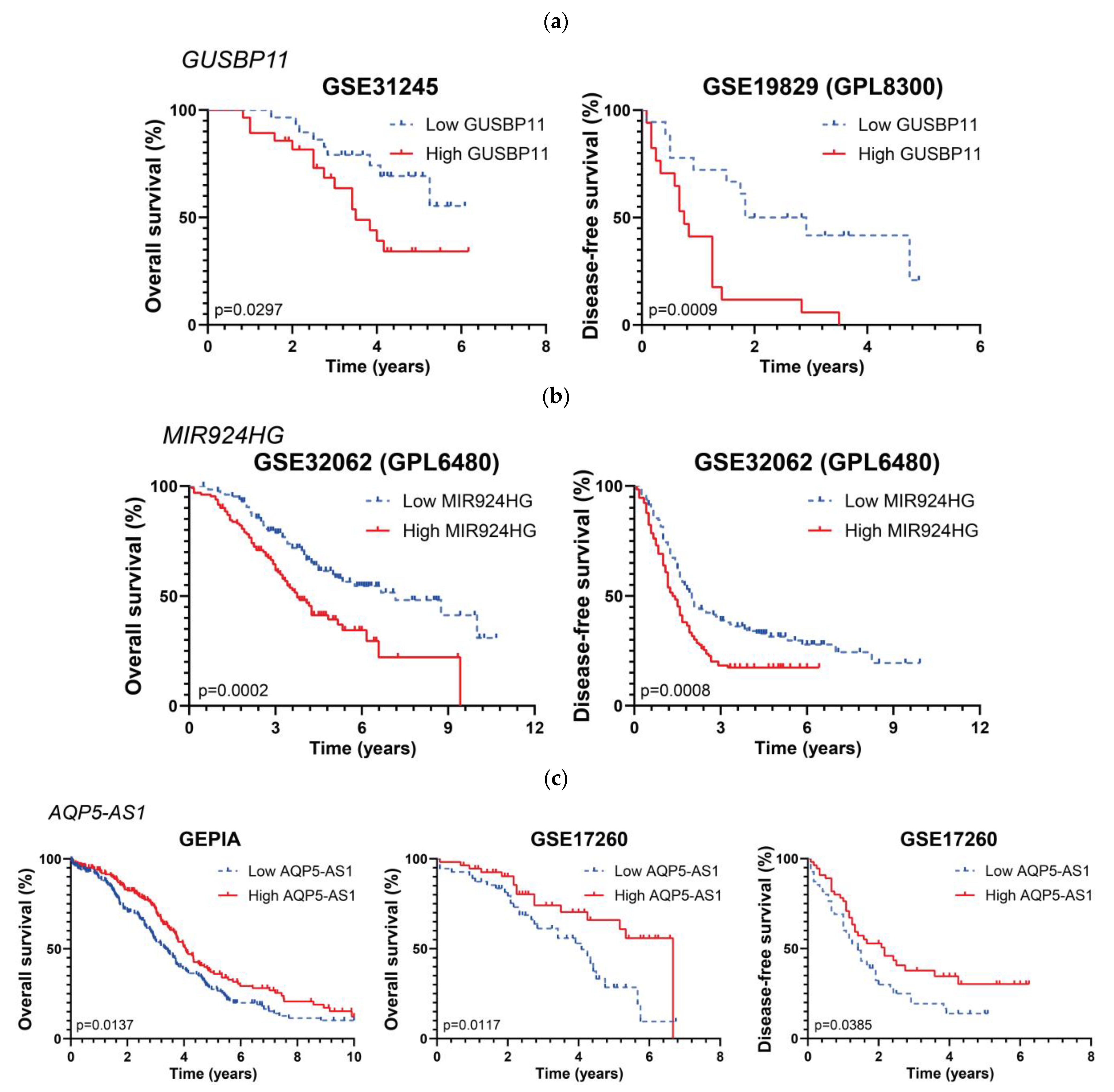 Ijms 24 10798 g004 Ijms 24 10798 g004