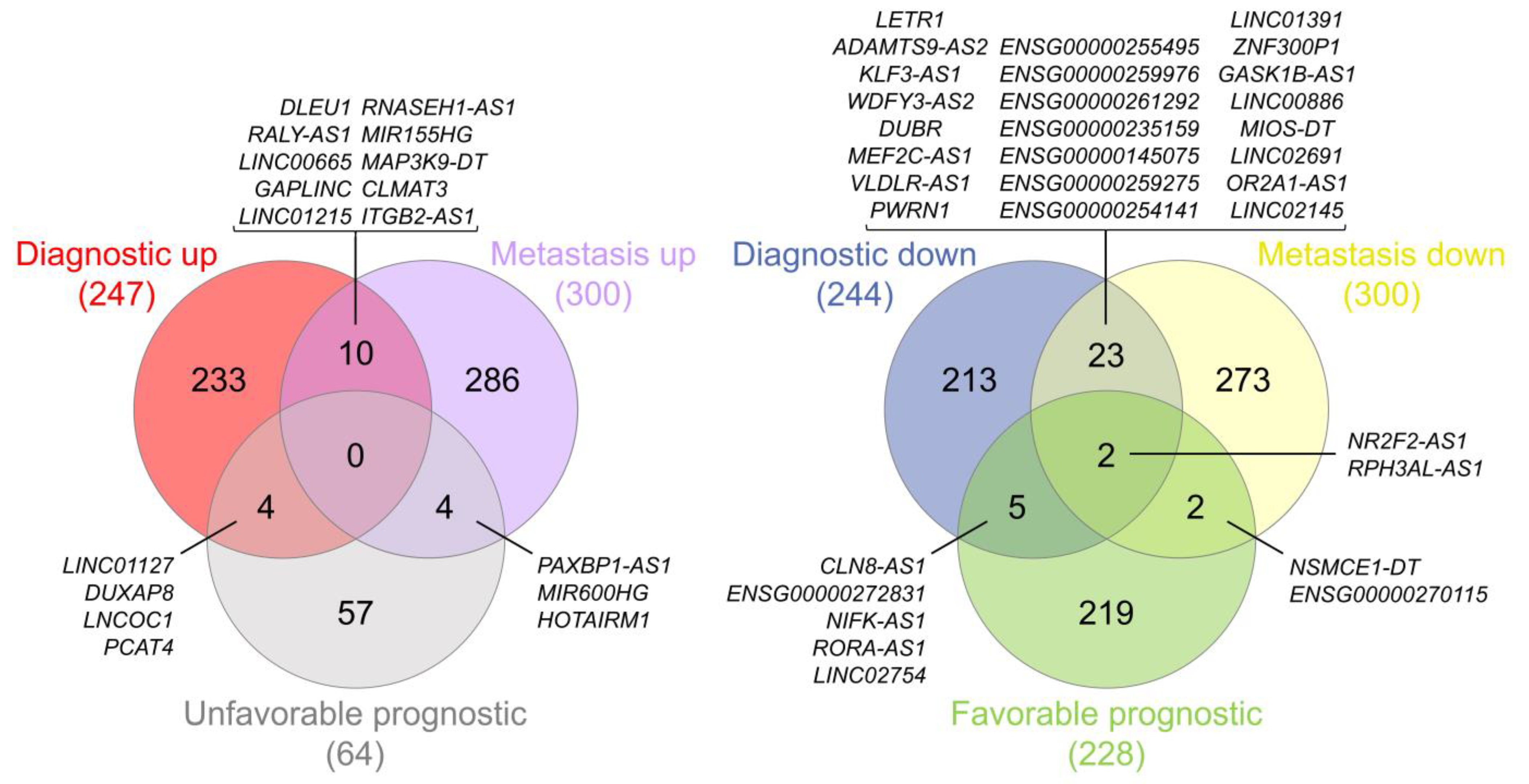 Ijms 24 10798 g007 Ijms 24 10798 g007