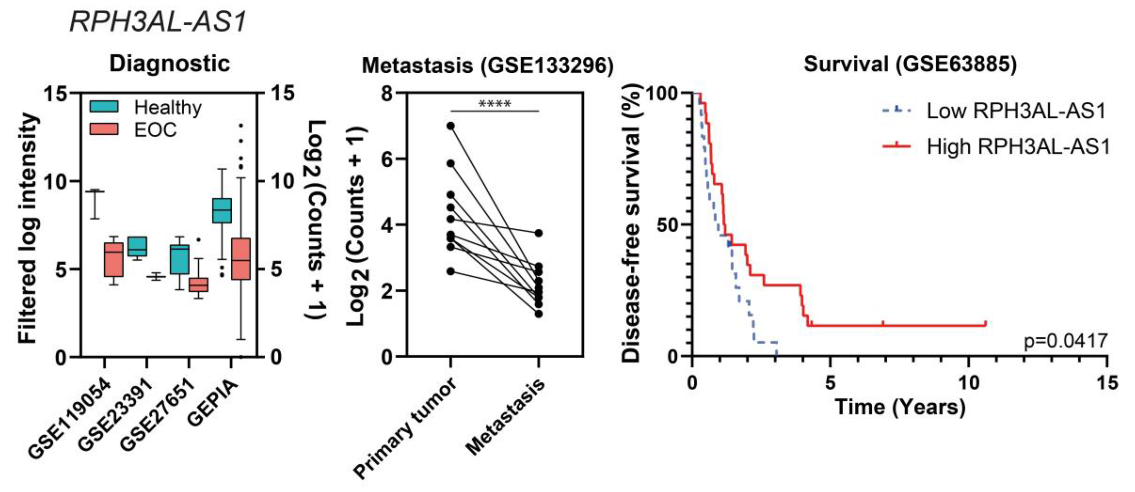 Ijms 24 10798 g008b Ijms 24 10798 g008b