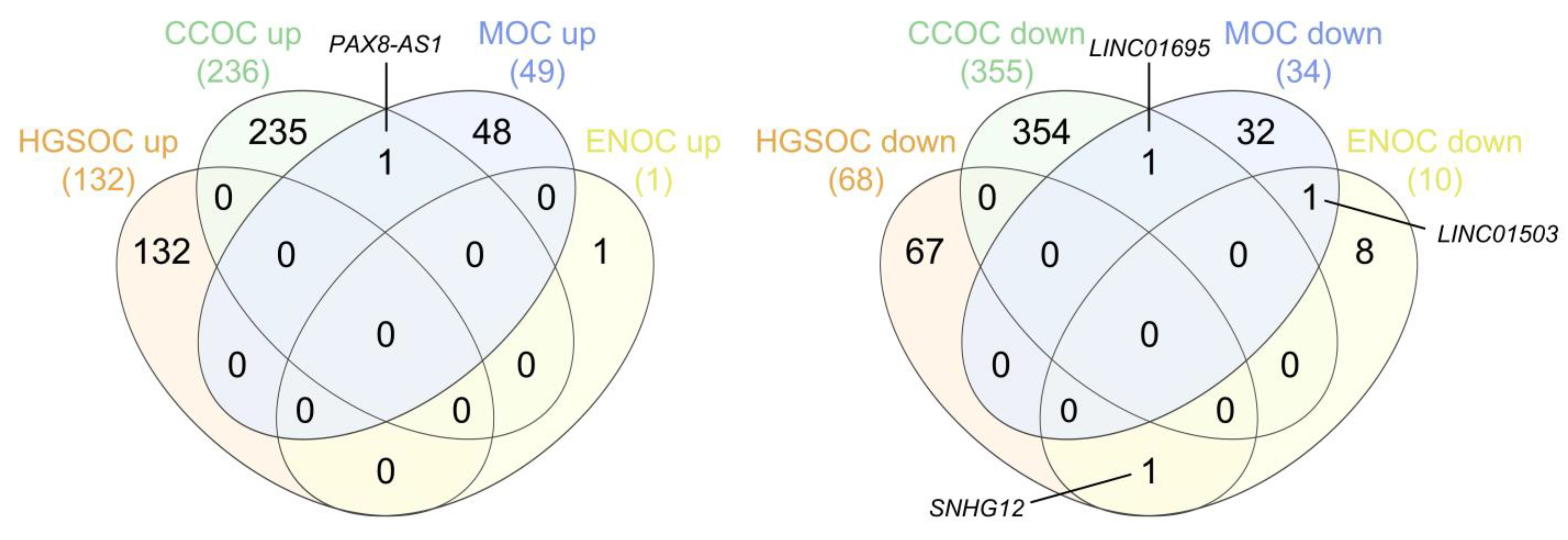 Ijms 24 10798 g011 Ijms 24 10798 g011