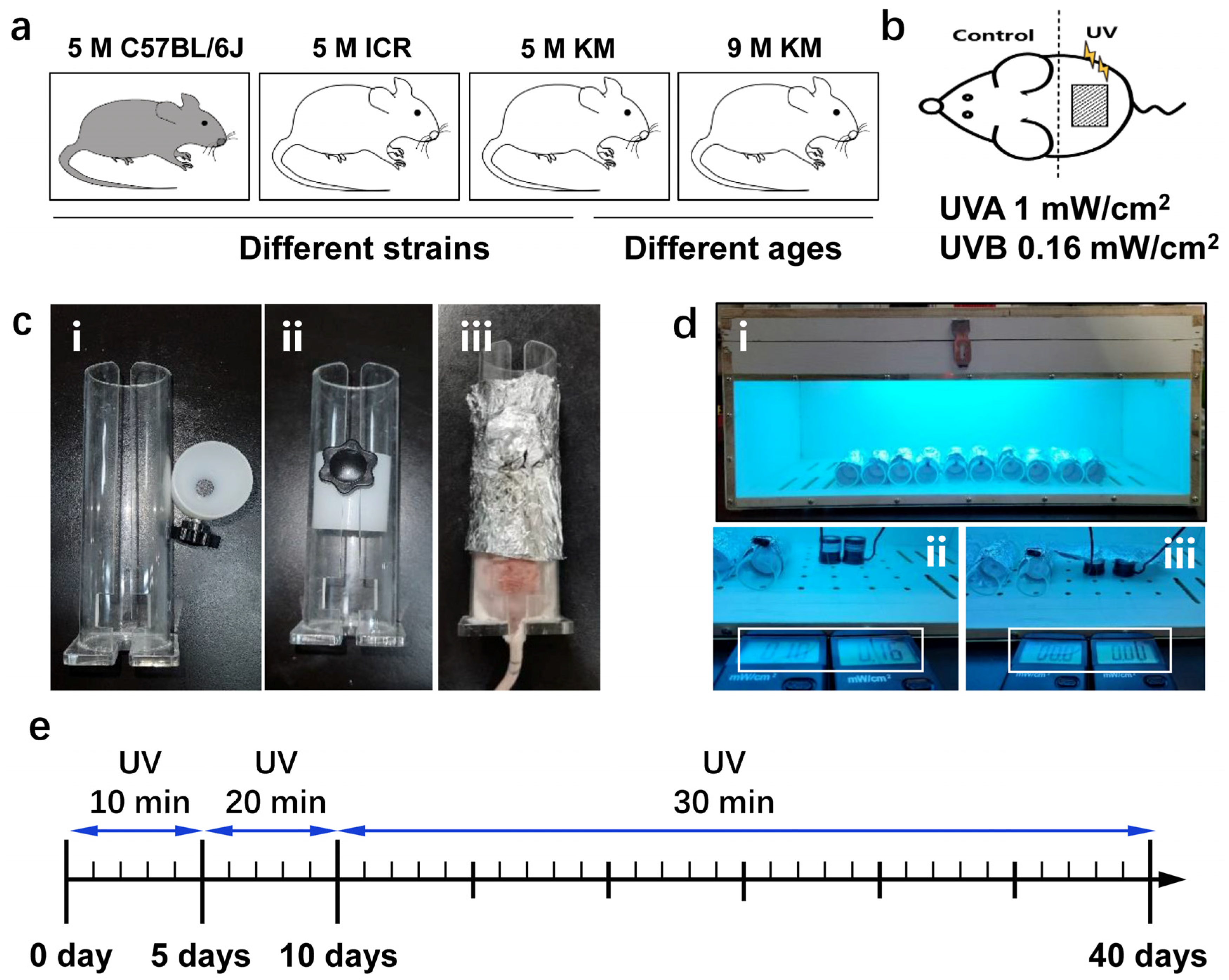Ijms 24 10812 g001 Ijms 24 10812 g001