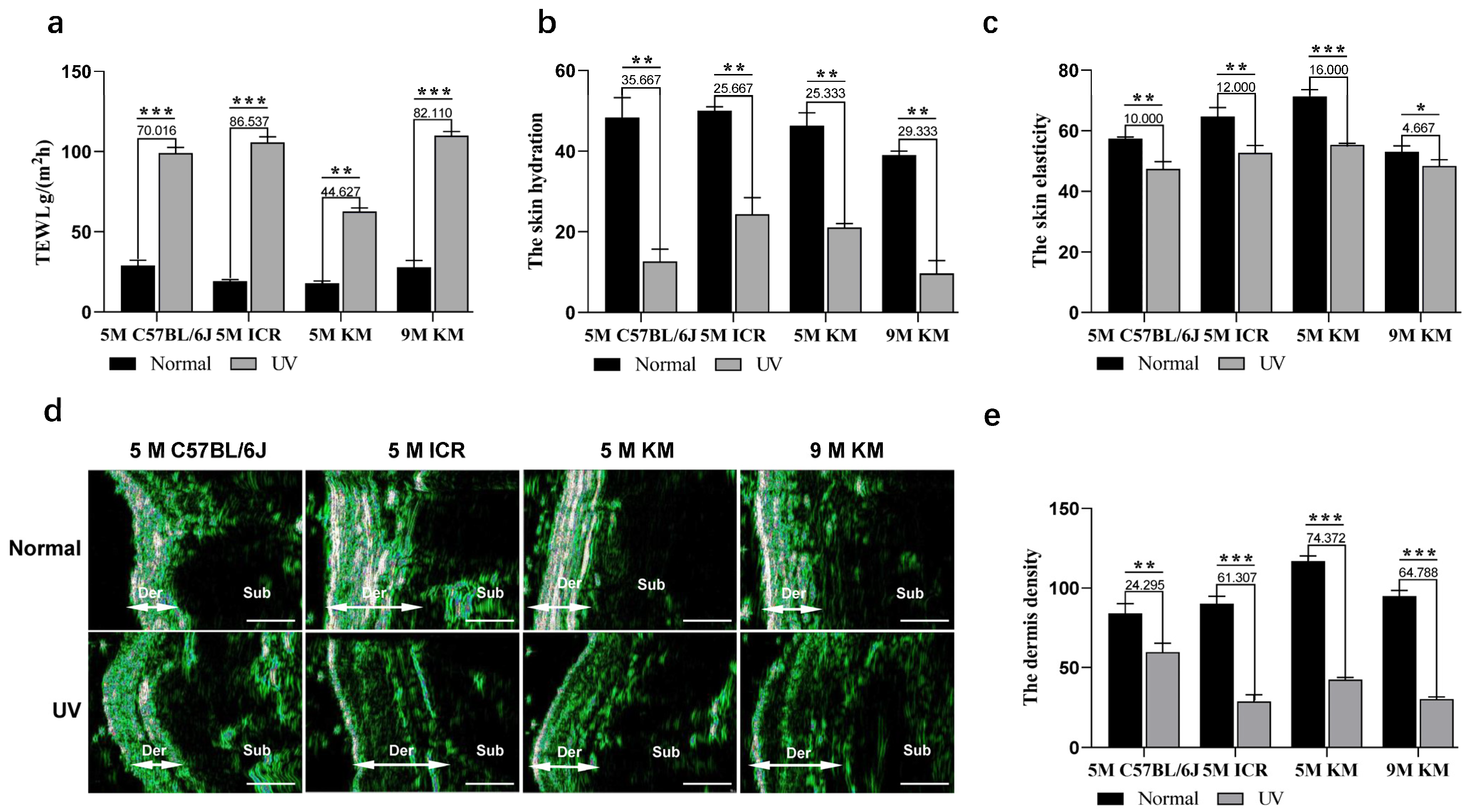Ijms 24 10812 g003 Ijms 24 10812 g003
